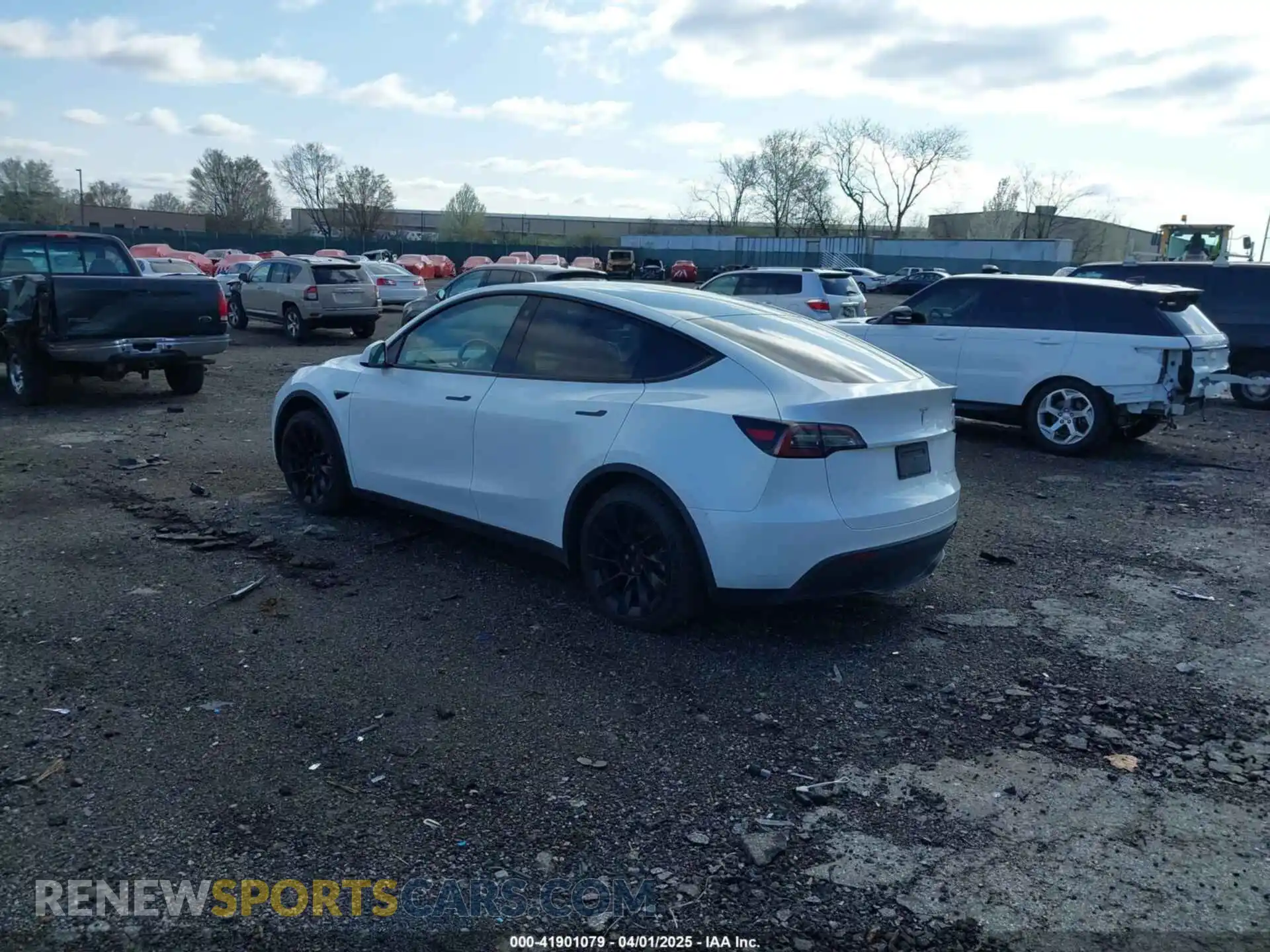 3 Photograph of a damaged car 7SAYGDEE2PA059668 TESLA MODEL Y 2023