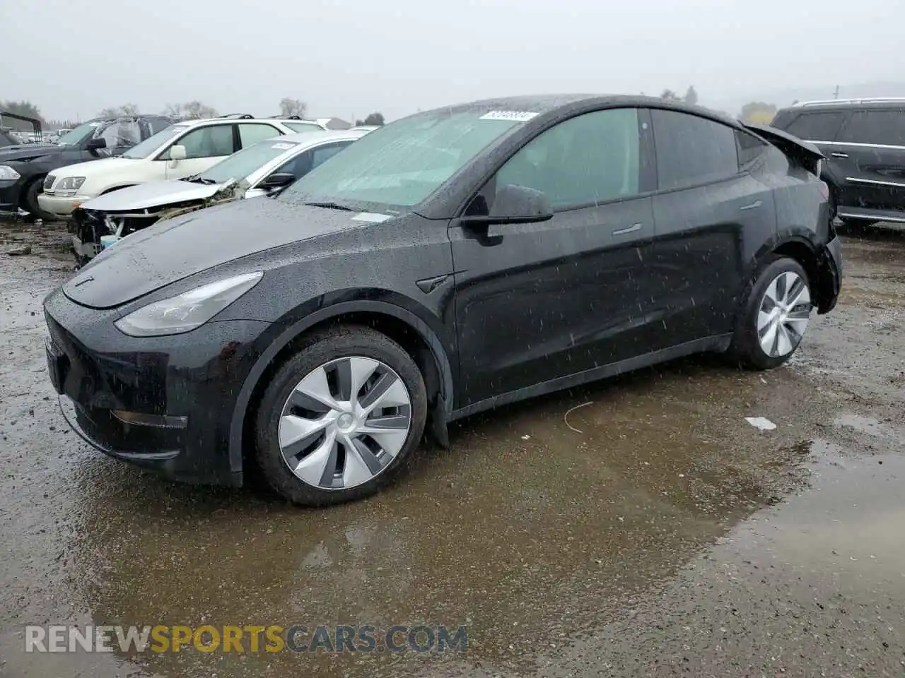 1 Photograph of a damaged car 7SAYGDEE2PF594924 TESLA MODEL Y 2023