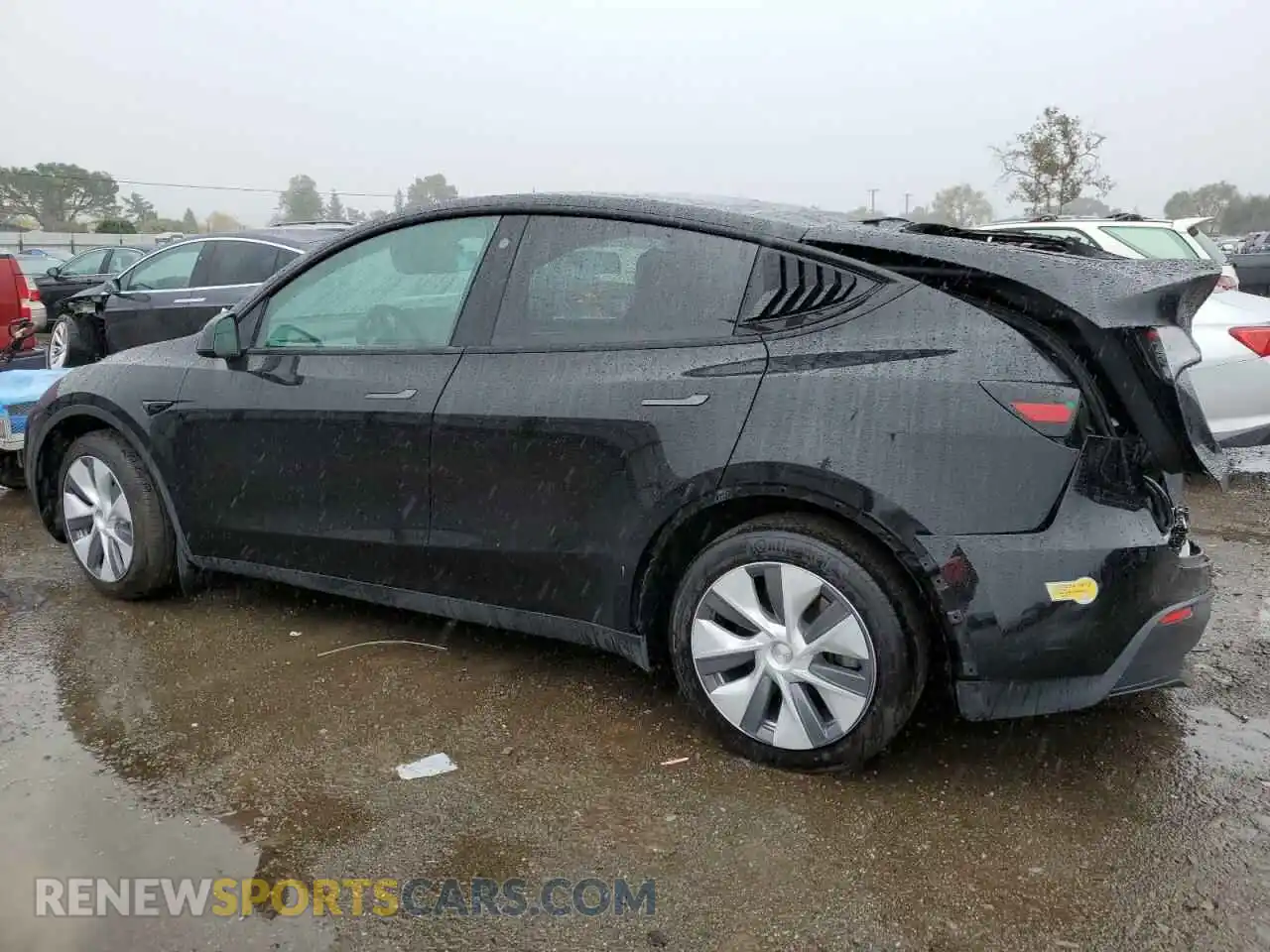 2 Photograph of a damaged car 7SAYGDEE2PF594924 TESLA MODEL Y 2023