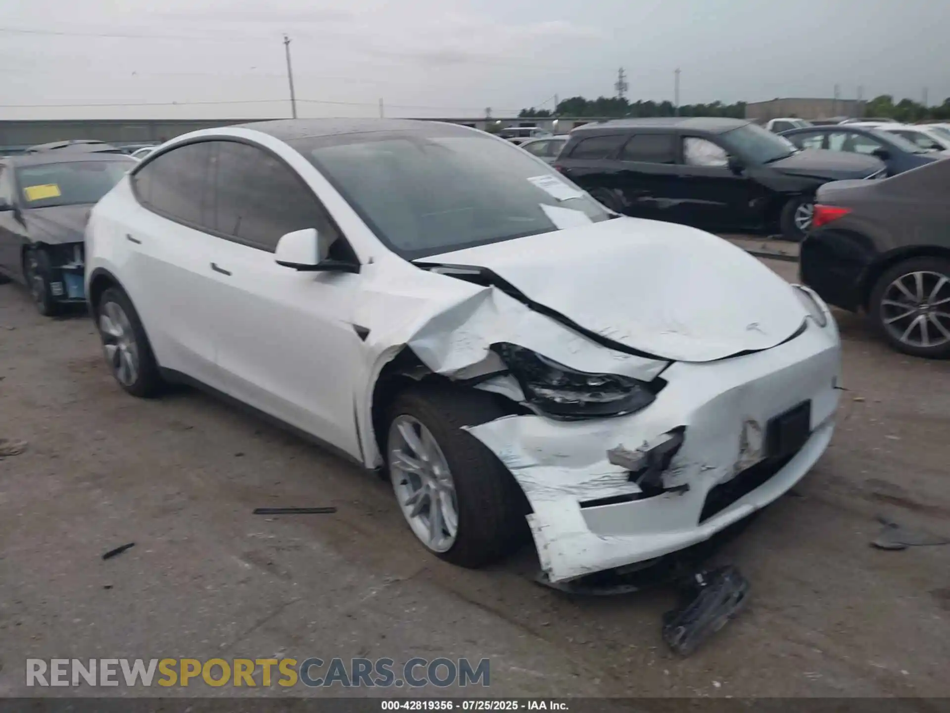 1 Photograph of a damaged car 7SAYGDEE2PF630479 TESLA MODEL Y 2023