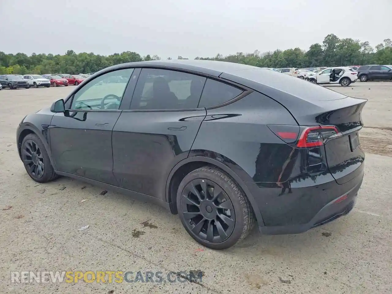 2 Photograph of a damaged car 7SAYGDEE3PA025819 TESLA MODEL Y 2023