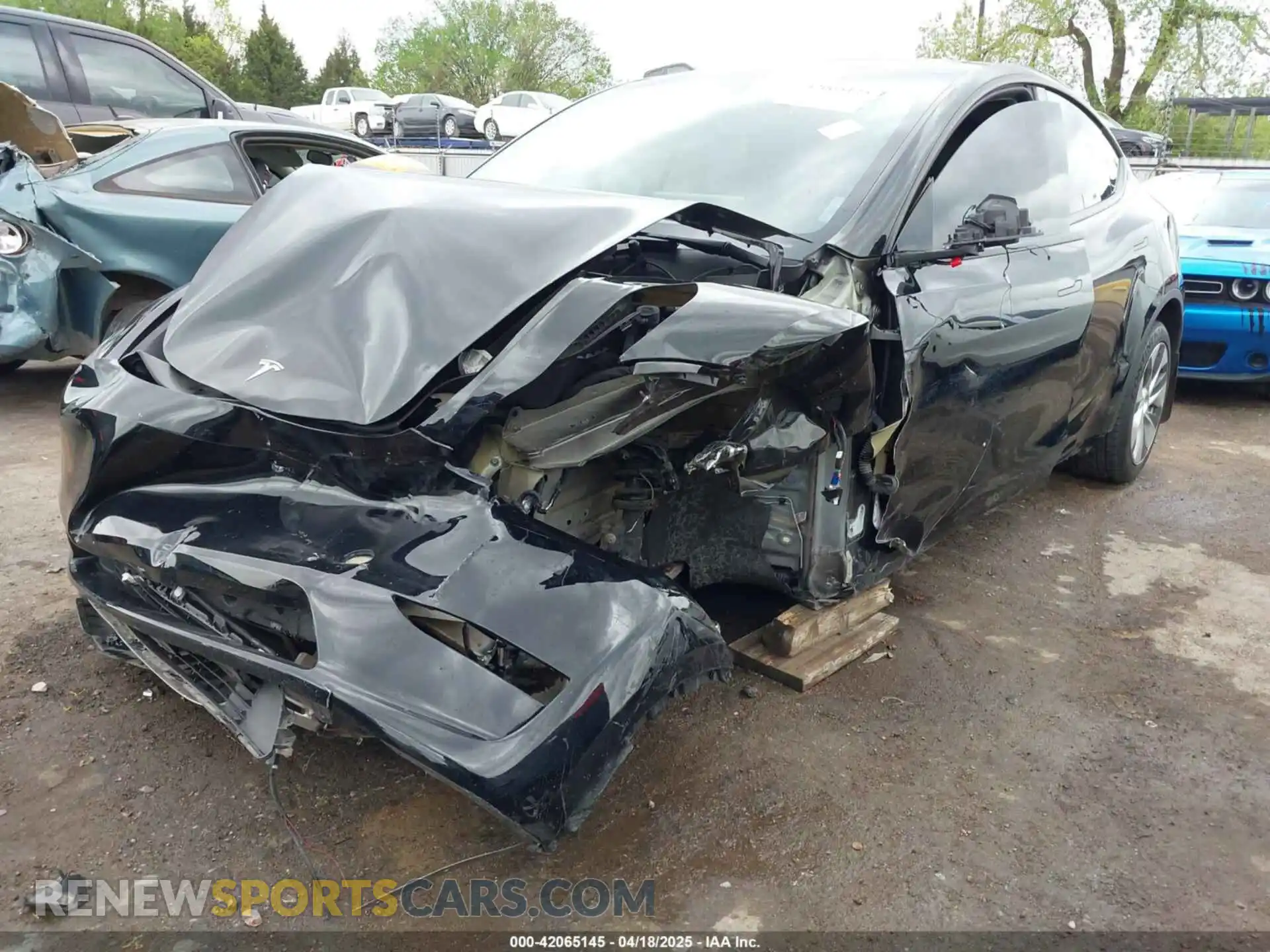 2 Photograph of a damaged car 7SAYGDEE3PF805175 TESLA MODEL Y 2023