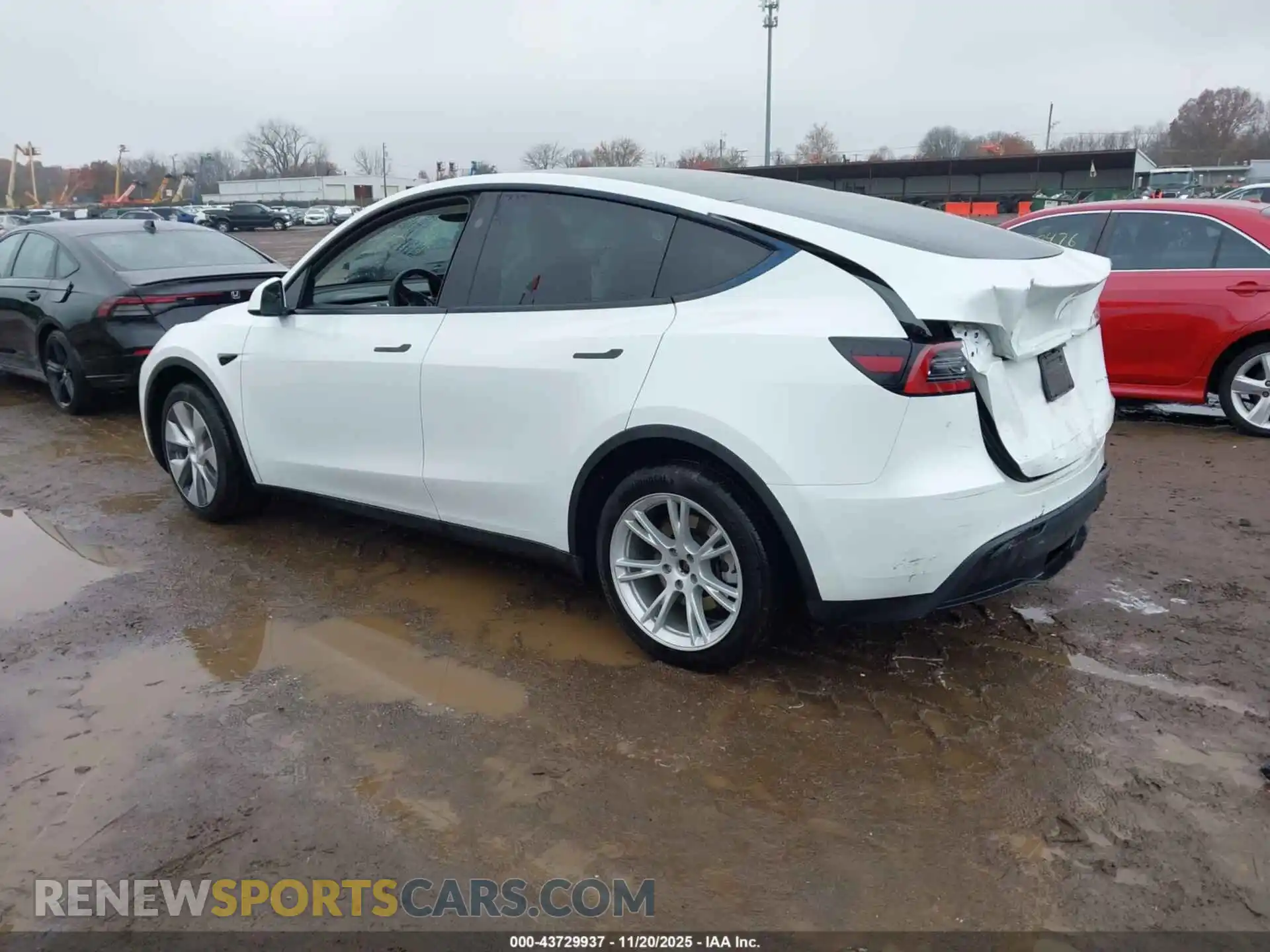 3 fotografías del automóvil dañado 7SAYGDEE3PF817245 TESLA MODEL Y 2023