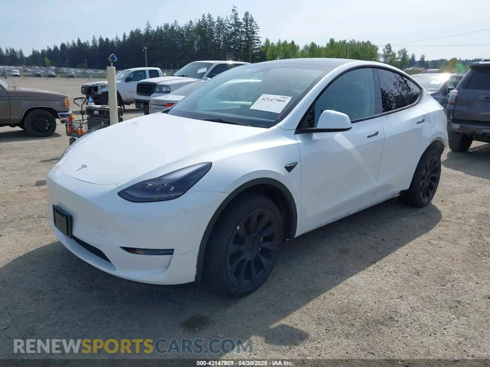 2 Фотография поврежденного автомобиля 7SAYGDEE4PF676167 TESLA MODEL Y 2023
