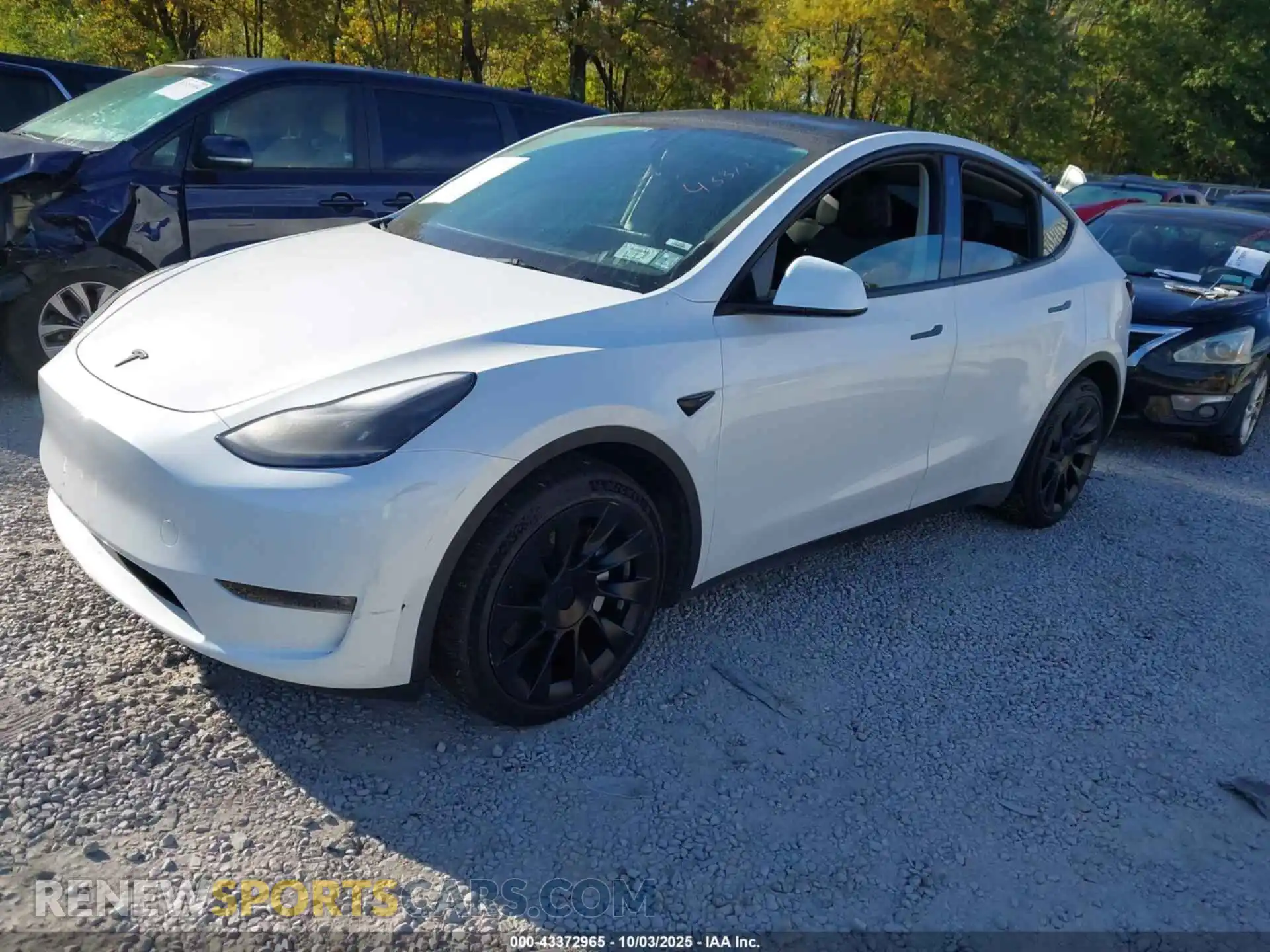 2 Photograph of a damaged car 7SAYGDEE4PF749862 TESLA MODEL Y 2023