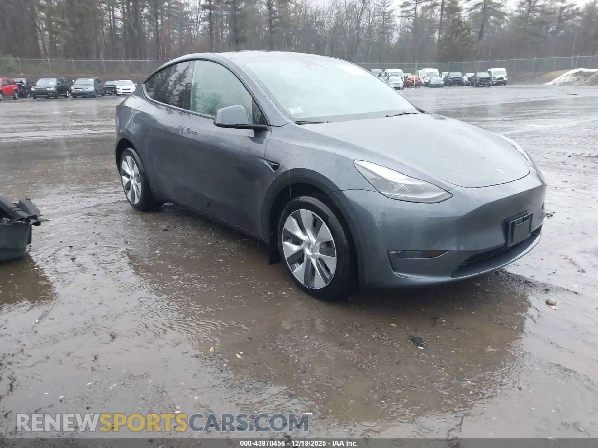1 Photograph of a damaged car 7SAYGDEE4PF763258 TESLA MODEL Y 2023