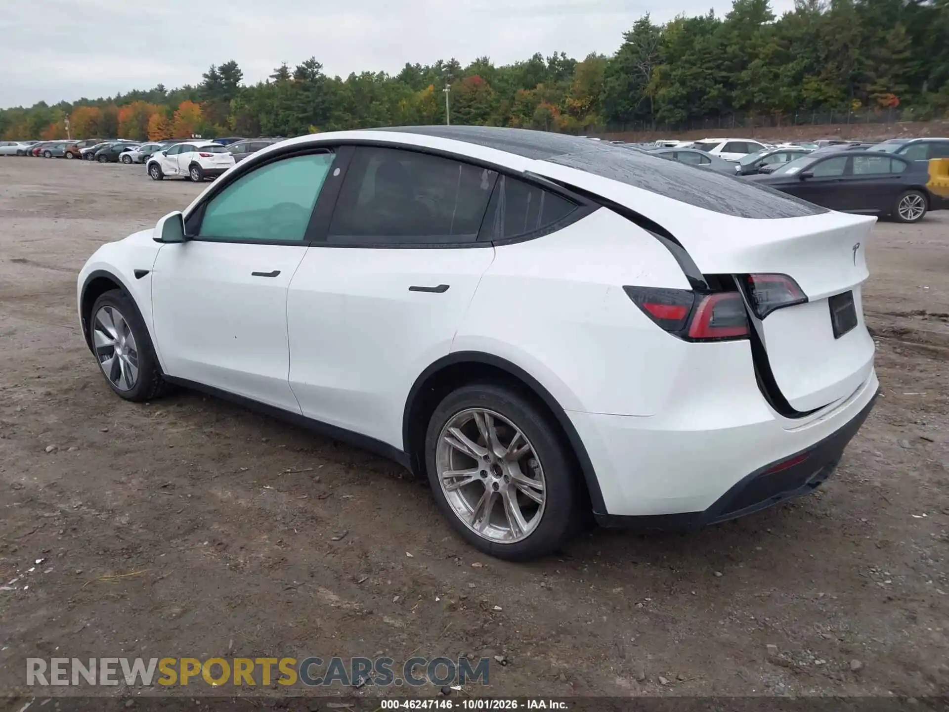 3 Фотография поврежденного автомобиля 7SAYGDEE4PF803905 TESLA MODEL Y 2023