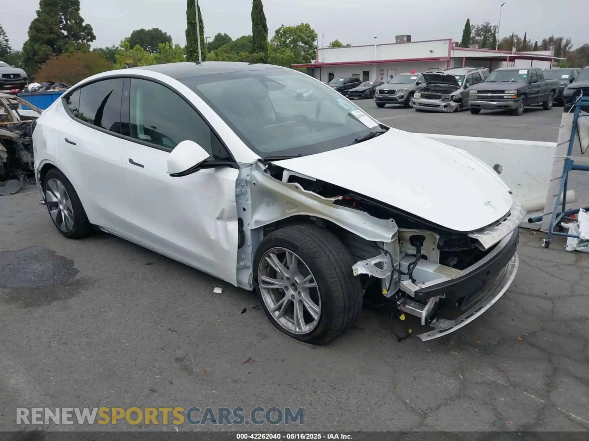 1 Photograph of a damaged car 7SAYGDEE4PF807551 TESLA MODEL Y 2023