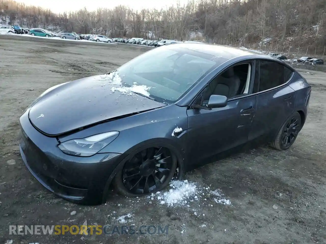 1 Photograph of a damaged car 7SAYGDEE4PF899390 TESLA MODEL Y 2023