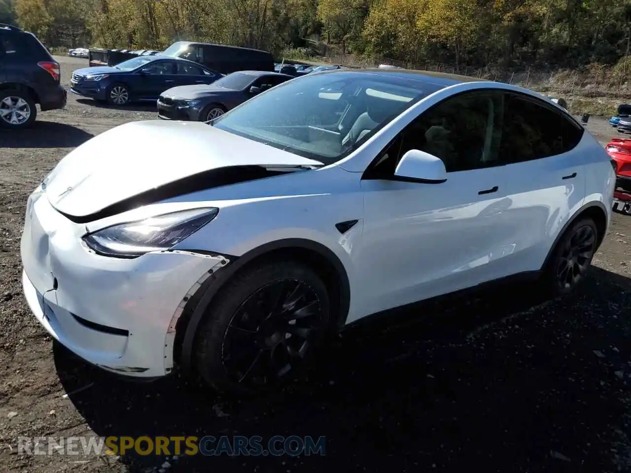 1 Photograph of a damaged car 7SAYGDEE5PA050768 TESLA MODEL Y 2023