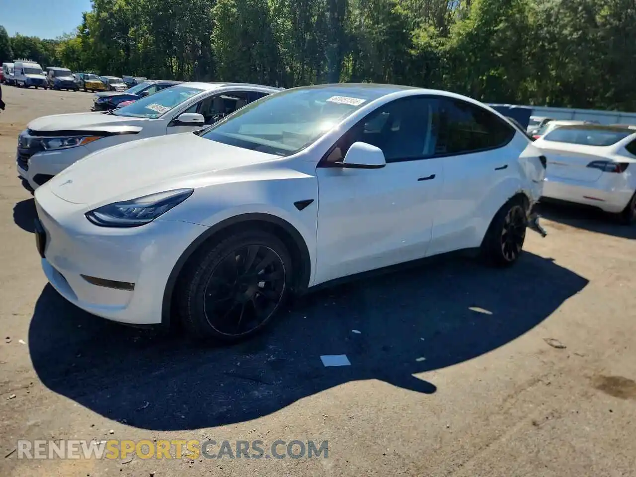 1 Фотография поврежденного автомобиля 7SAYGDEE5PA055145 TESLA MODEL Y 2023