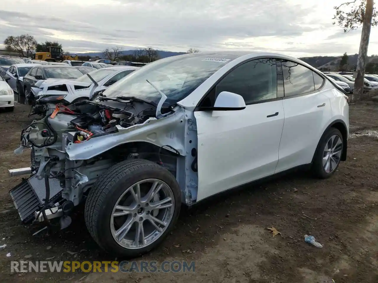 1 Photograph of a damaged car 7SAYGDEE5PF813889 TESLA MODEL Y 2023