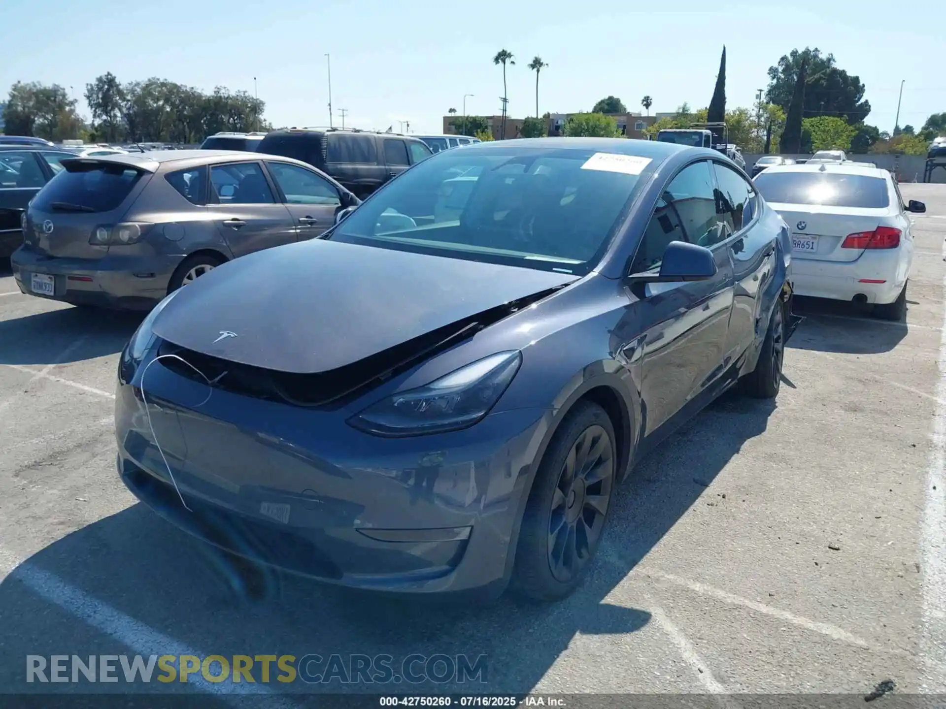 2 Photograph of a damaged car 7SAYGDEE5PF814072 TESLA MODEL Y 2023