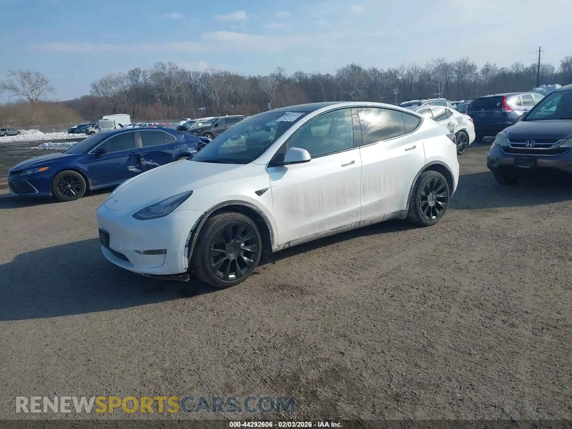 2 Photograph of a damaged car 7SAYGDEE6PA060709 TESLA MODEL Y 2023