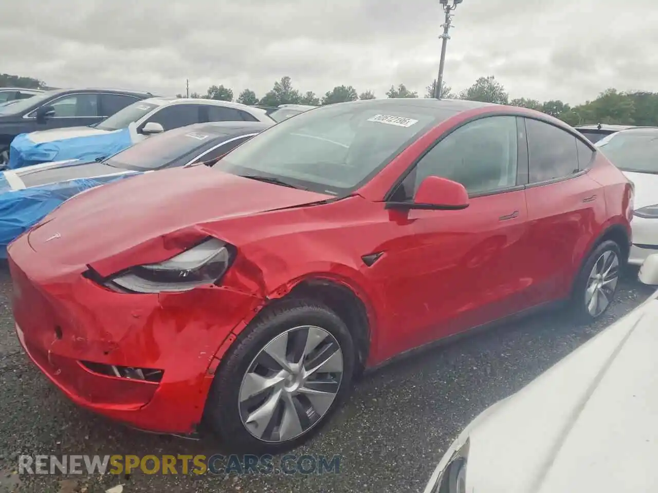 1 Photograph of a damaged car 7SAYGDEE6PA165573 TESLA MODEL Y 2023