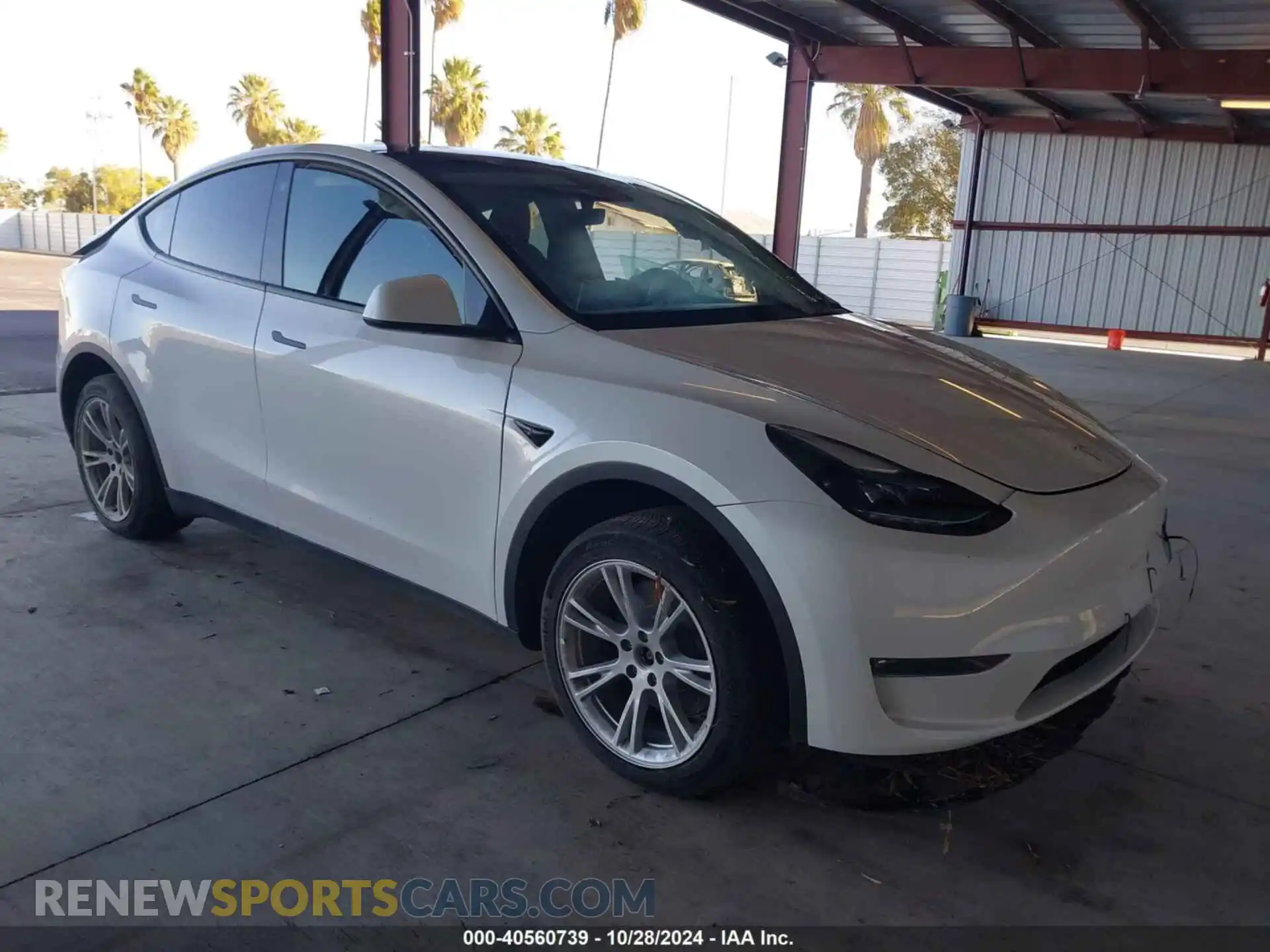 1 fotografías del automóvil dañado 7SAYGDEE6PF742623 TESLA MODEL Y 2023