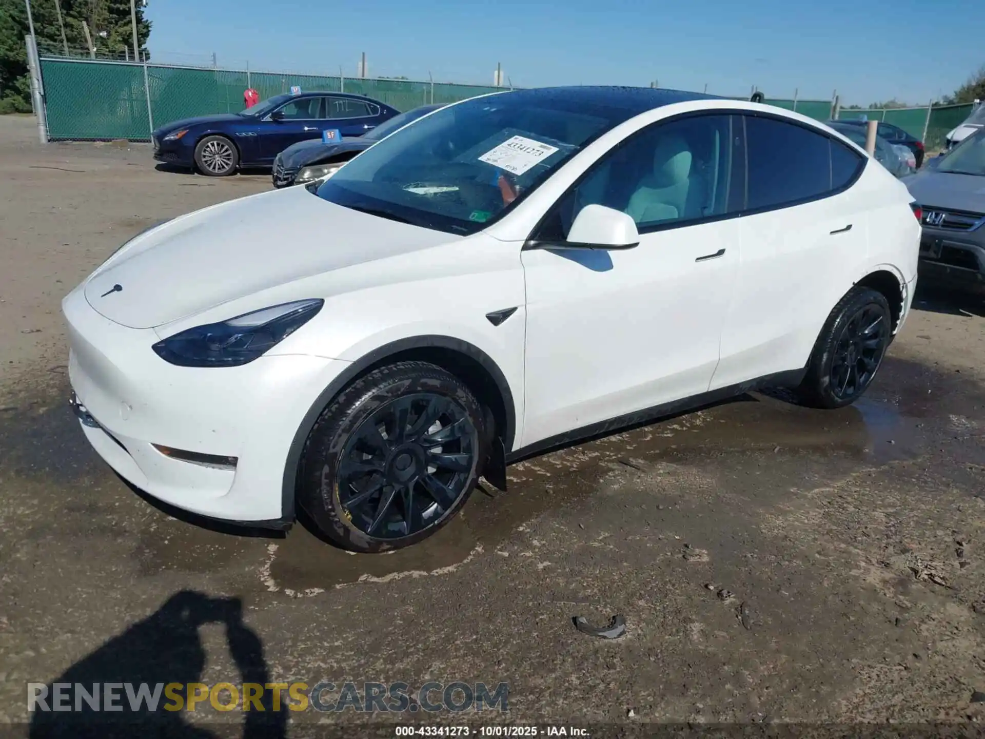 2 Photograph of a damaged car 7SAYGDEE6PF830331 TESLA MODEL Y 2023
