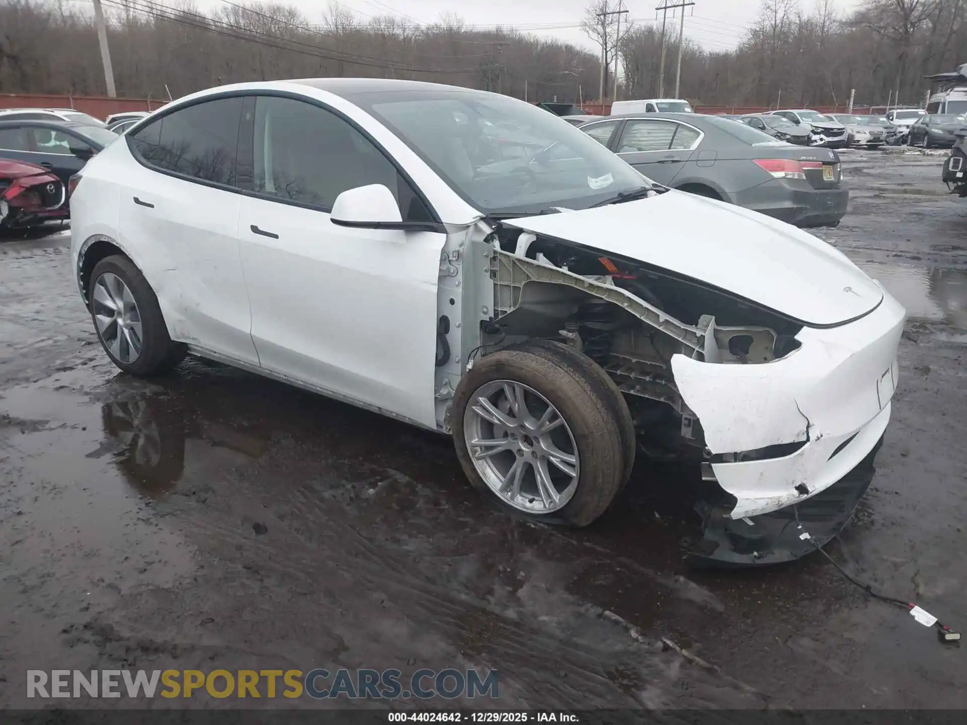 1 Photograph of a damaged car 7SAYGDEE7PA074358 TESLA MODEL Y 2023