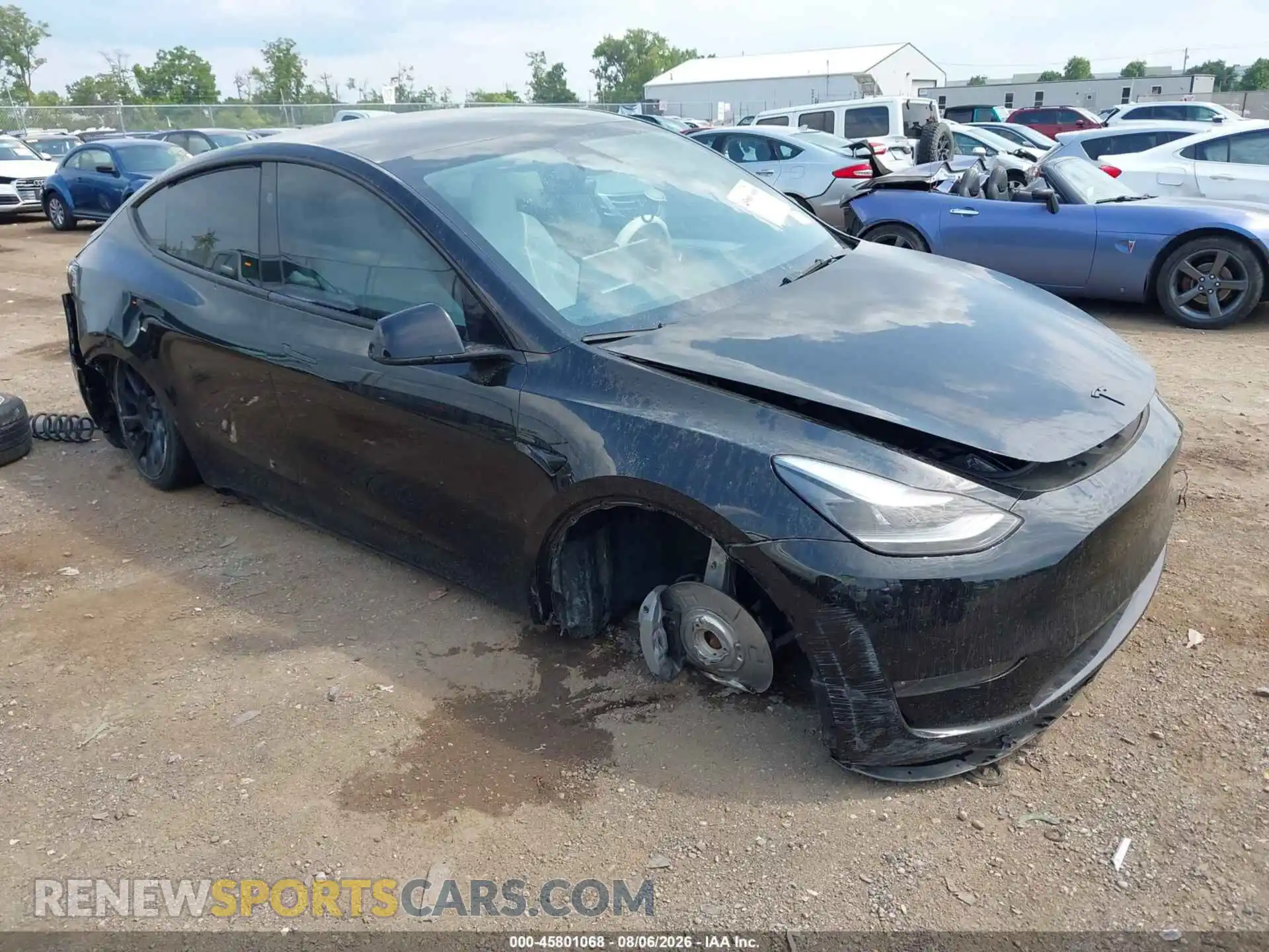 1 Фотография поврежденного автомобиля 7SAYGDEE7PA185394 TESLA MODEL Y 2023