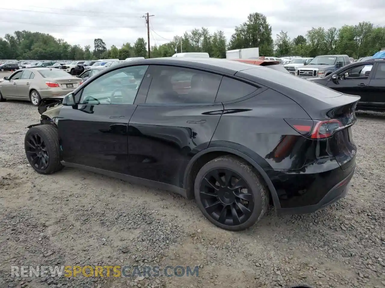 2 Photograph of a damaged car 7SAYGDEE7PF803428 TESLA MODEL Y 2023
