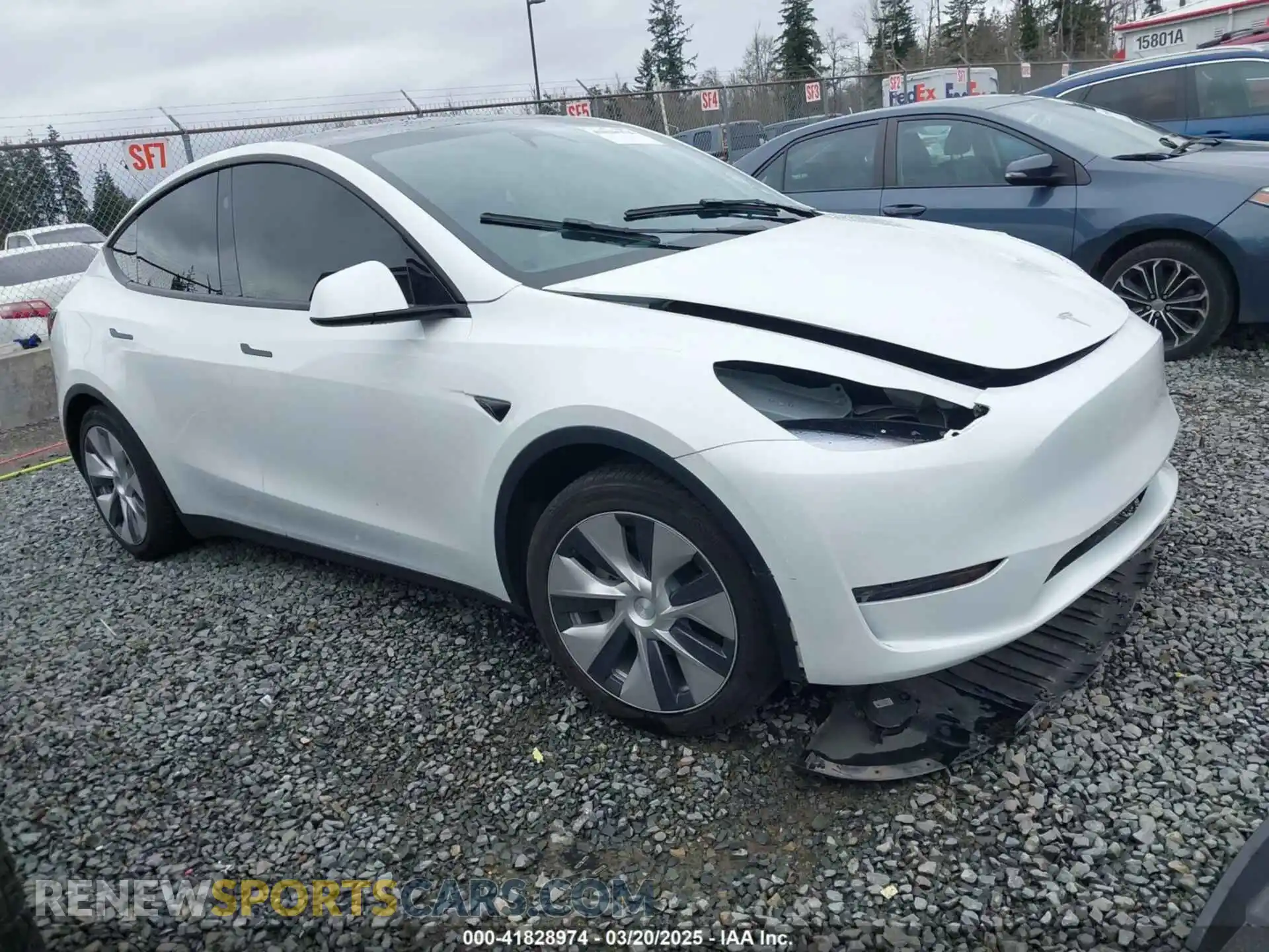 1 Photograph of a damaged car 7SAYGDEE7PF809164 TESLA MODEL Y 2023