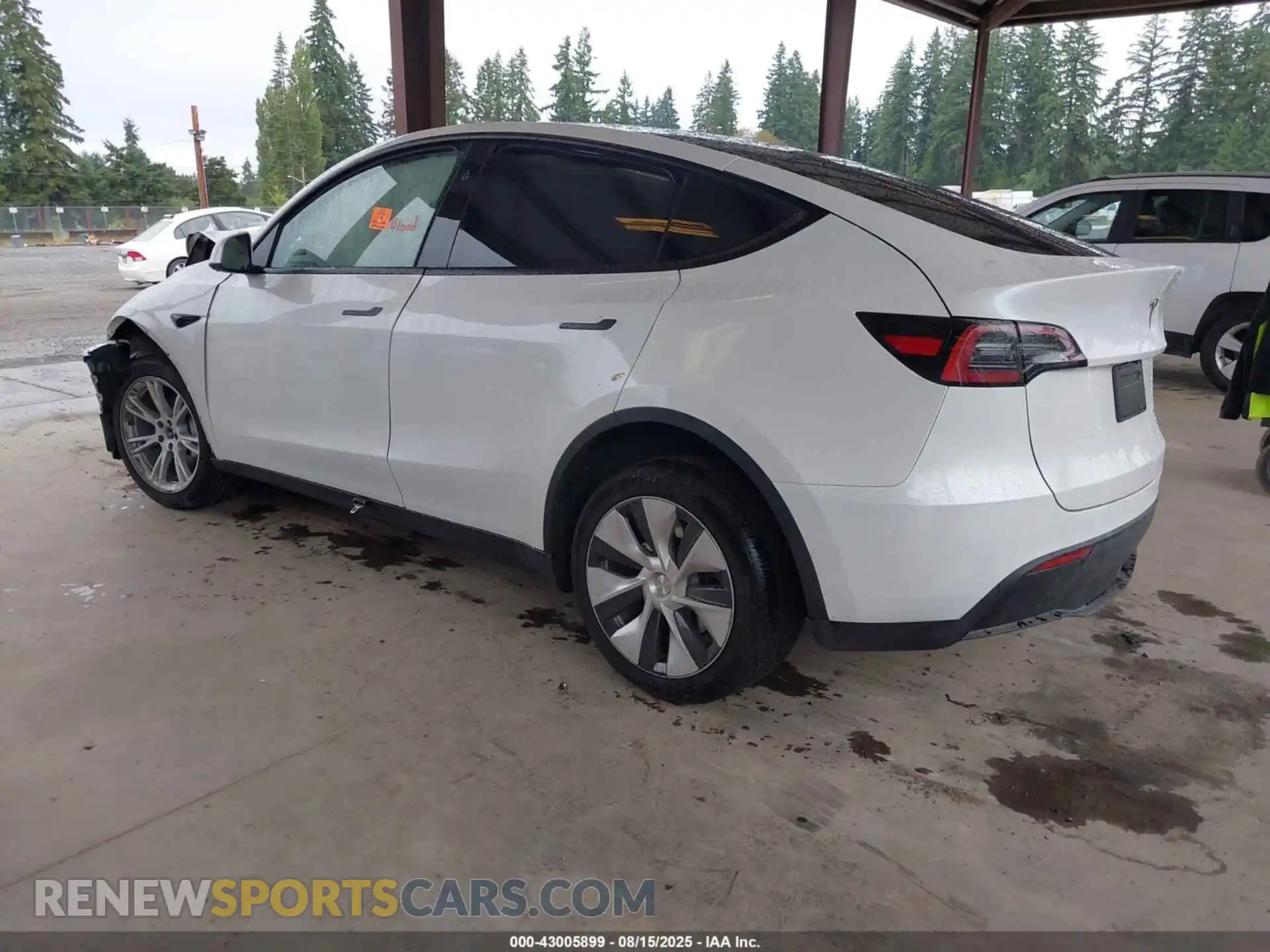 3 Photograph of a damaged car 7SAYGDEE7PF824604 TESLA MODEL Y 2023