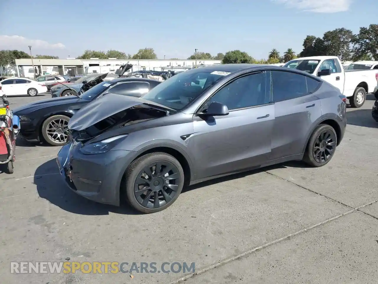1 Фотография поврежденного автомобиля 7SAYGDEE7PF948274 TESLA MODEL Y 2023