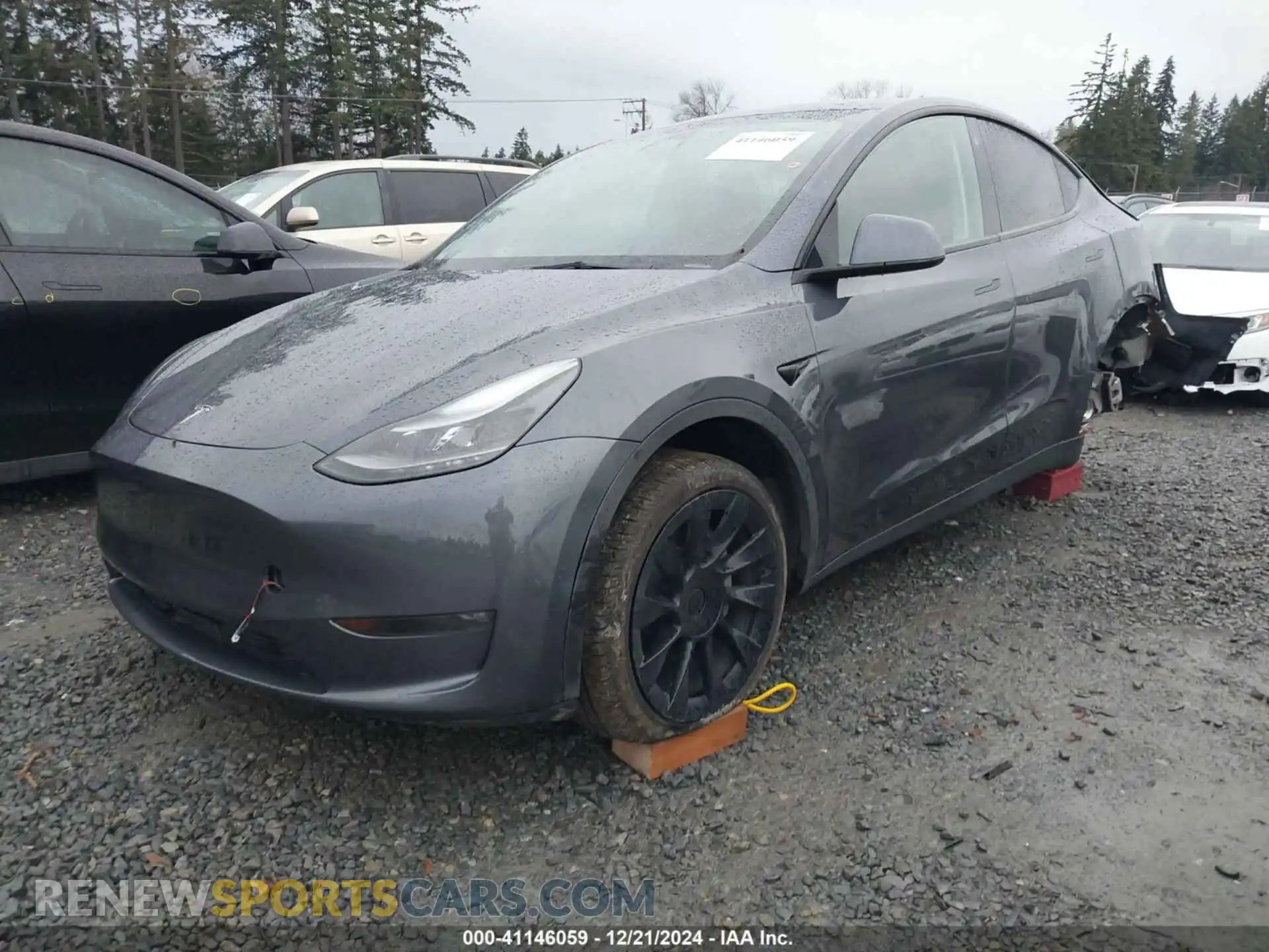 2 Photograph of a damaged car 7SAYGDEE8PF697118 TESLA MODEL Y 2023