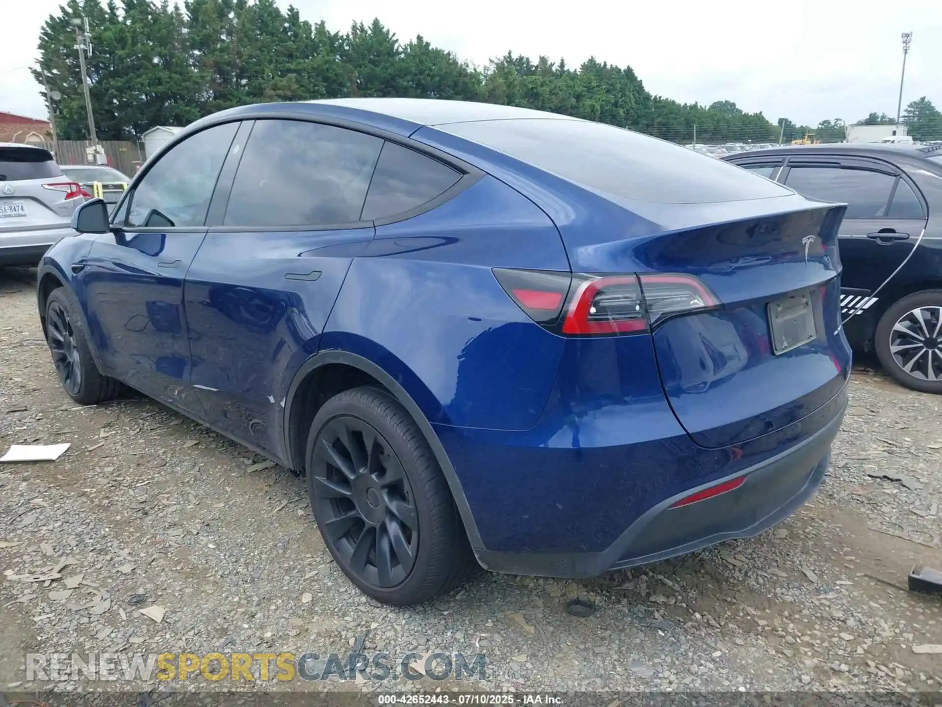 3 Photograph of a damaged car 7SAYGDEE8PF890787 TESLA MODEL Y 2023