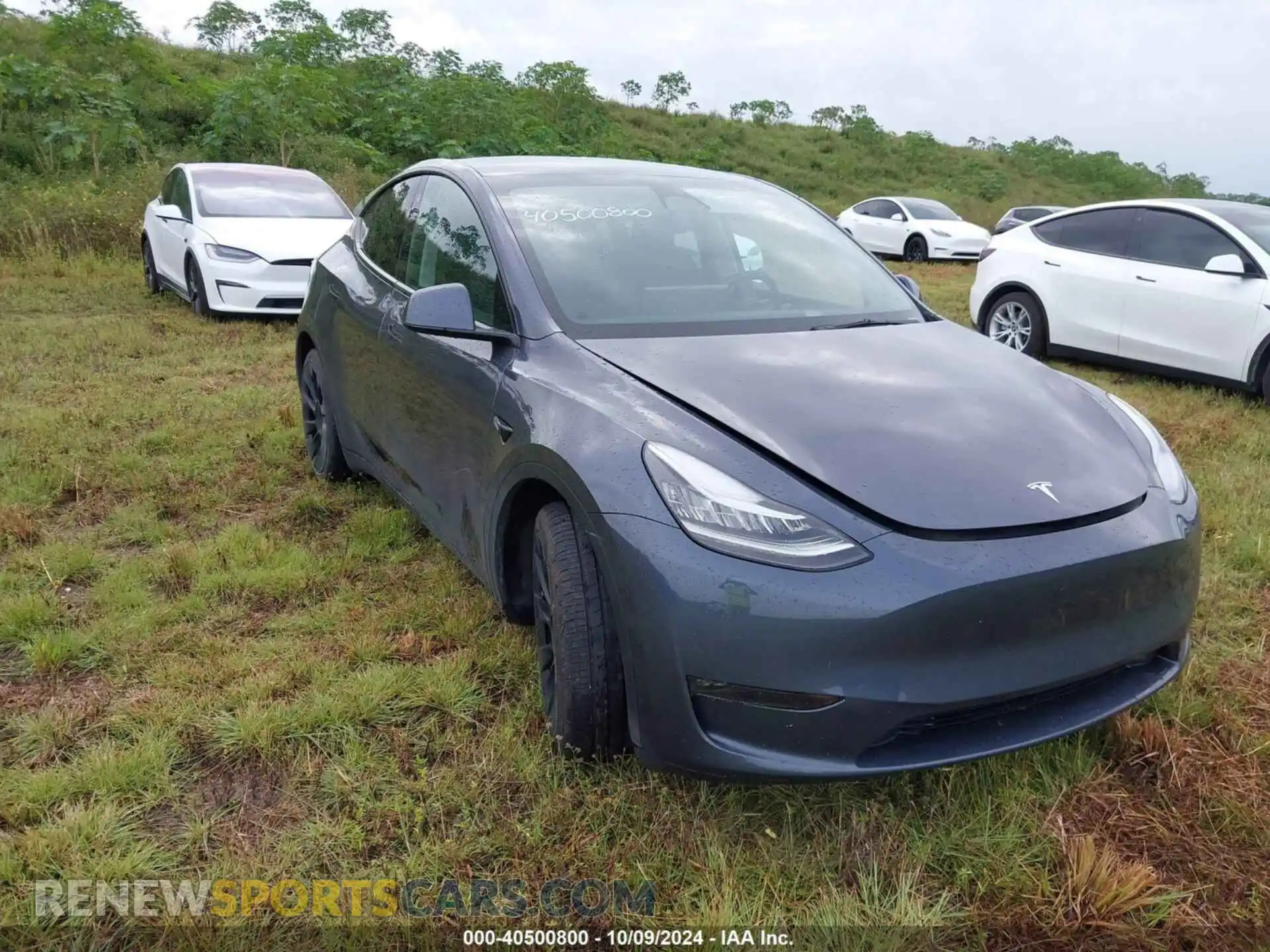 1 Photograph of a damaged car 7SAYGDEE9PA056198 TESLA MODEL Y 2023