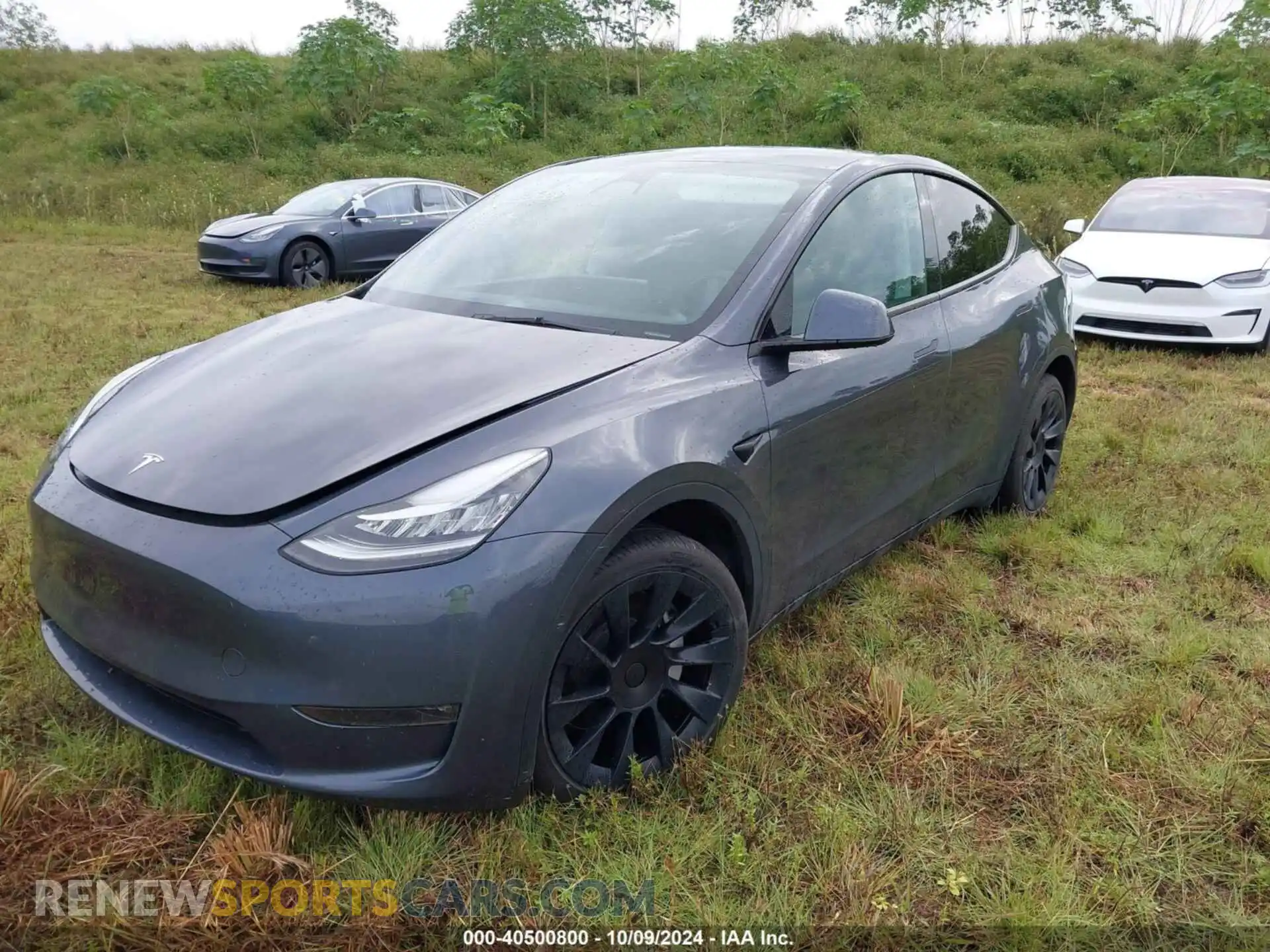 2 Photograph of a damaged car 7SAYGDEE9PA056198 TESLA MODEL Y 2023