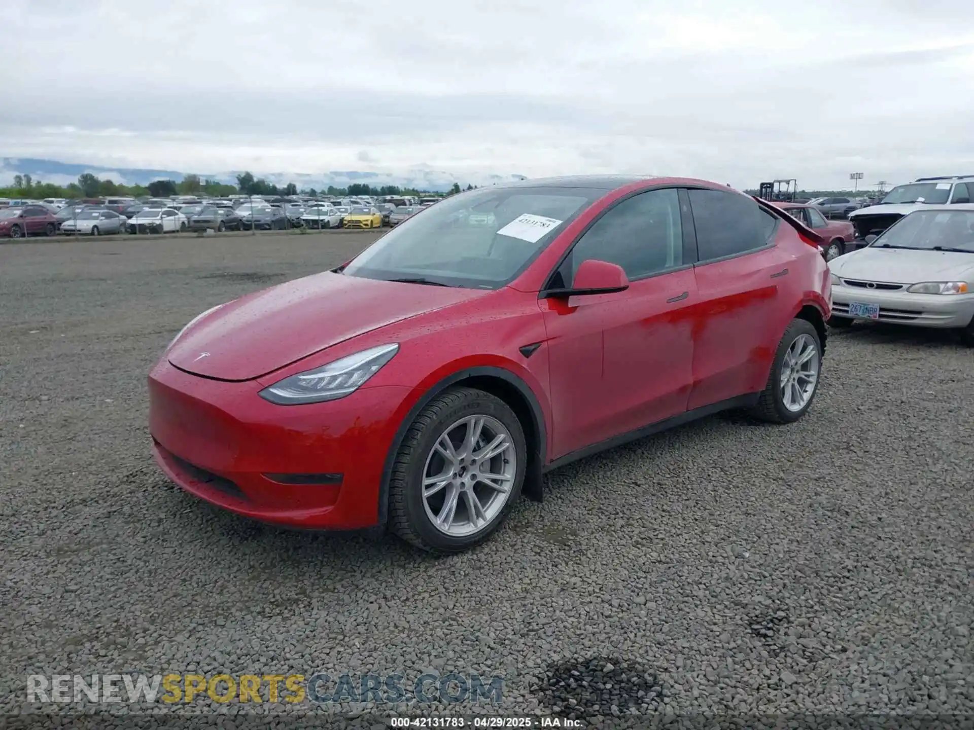 2 Photograph of a damaged car 7SAYGDEE9PA145947 TESLA MODEL Y 2023