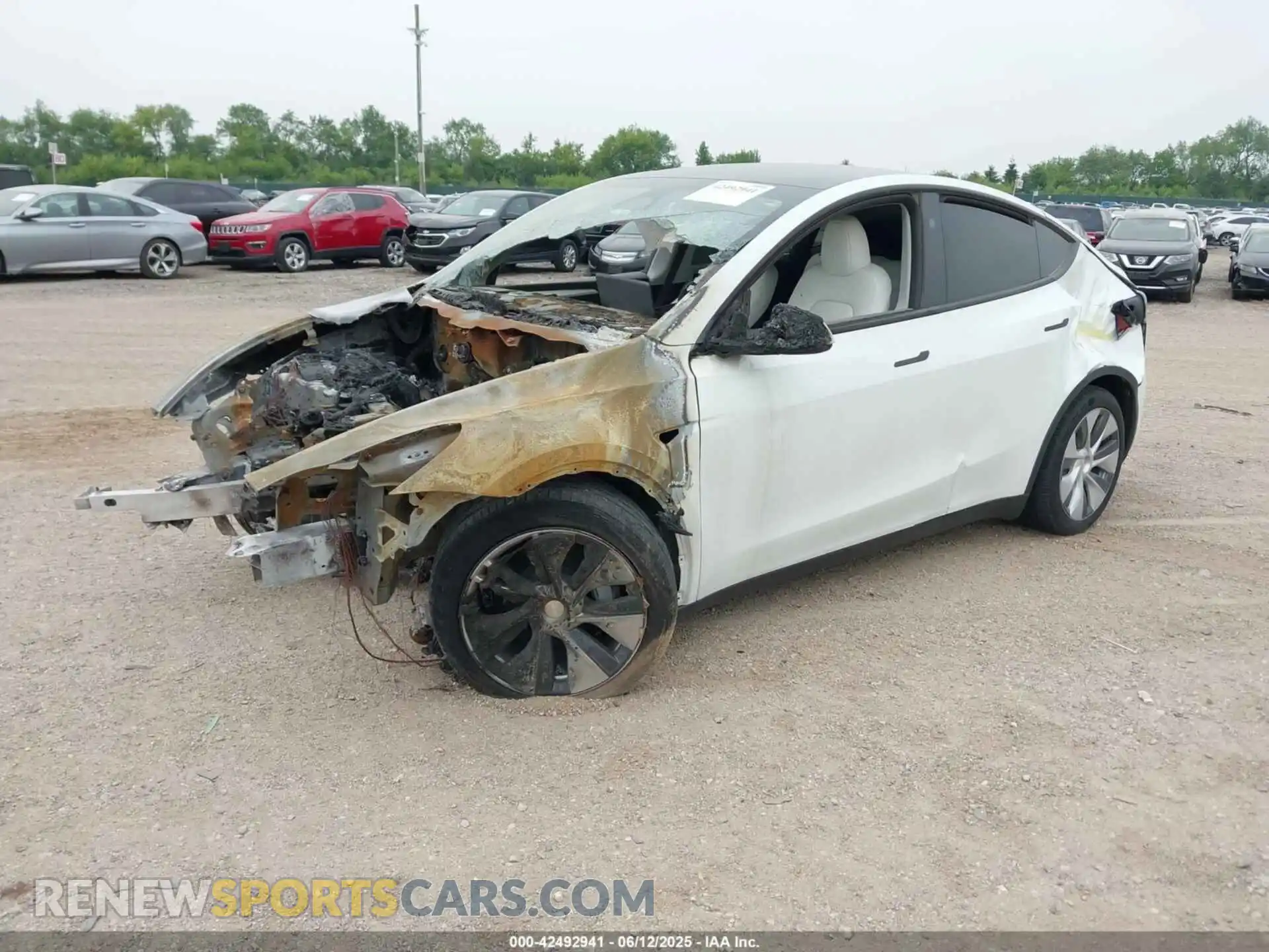 2 Photograph of a damaged car 7SAYGDEE9PA193528 TESLA MODEL Y 2023