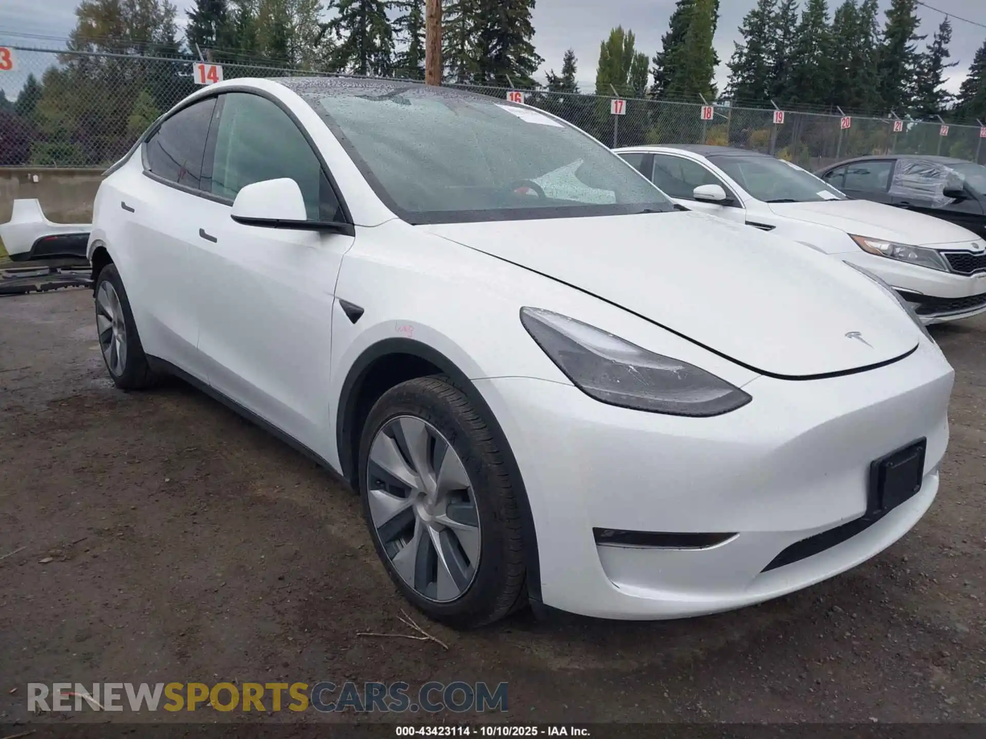 1 Photograph of a damaged car 7SAYGDEE9PF608091 TESLA MODEL Y 2023