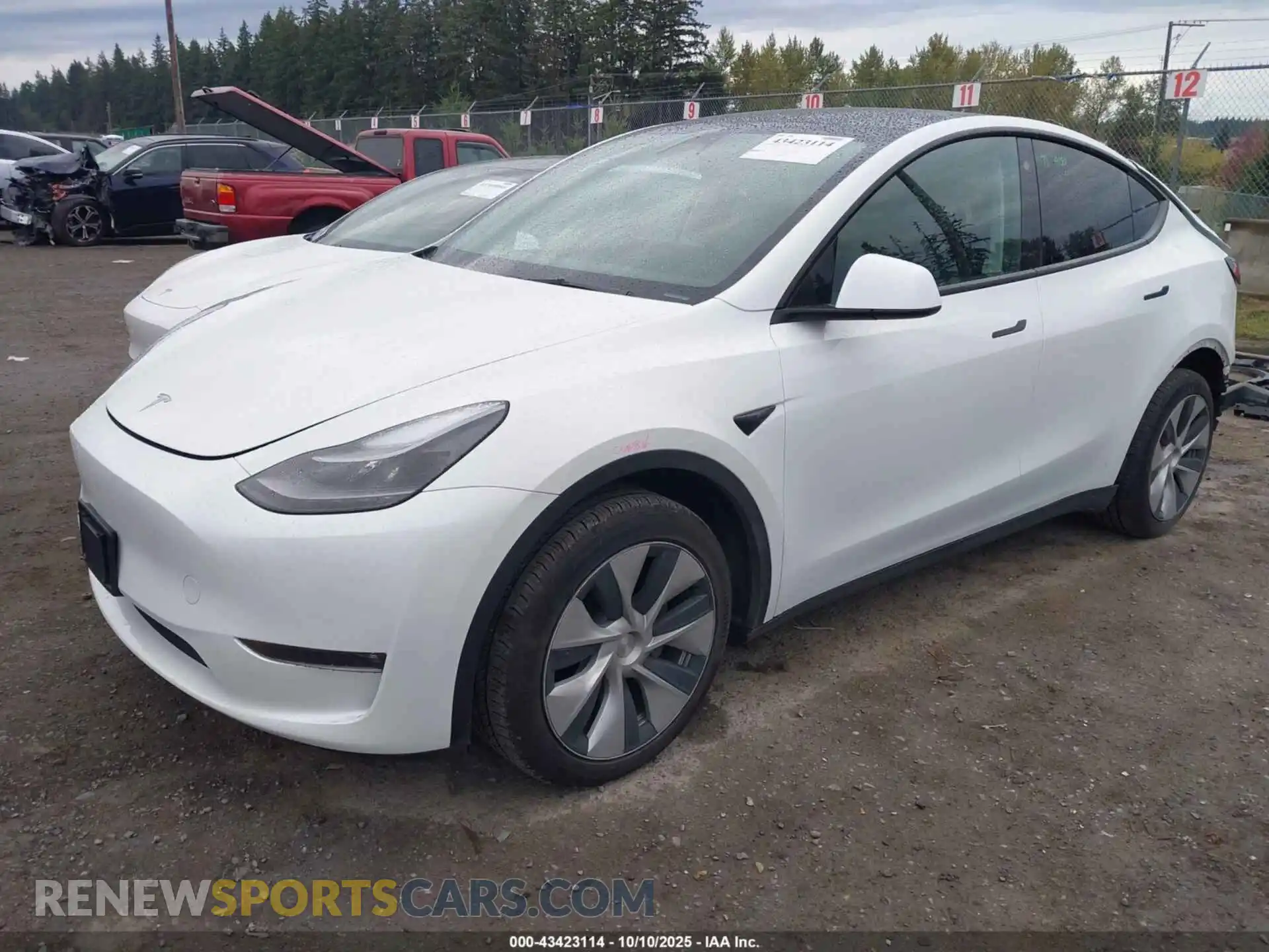 2 Photograph of a damaged car 7SAYGDEE9PF608091 TESLA MODEL Y 2023