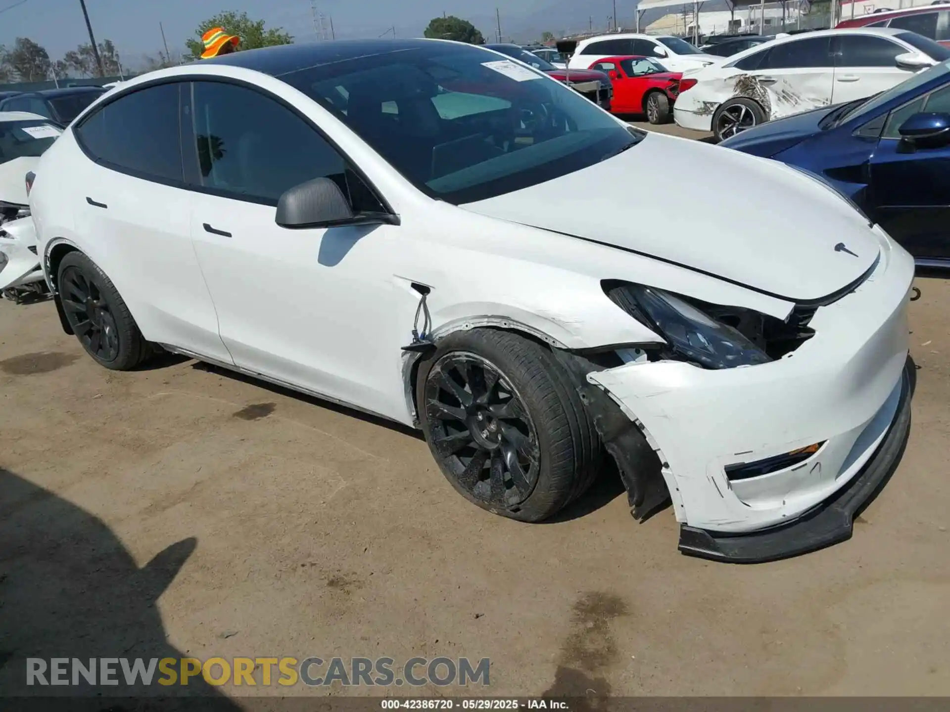 1 Photograph of a damaged car 7SAYGDEE9PF887283 TESLA MODEL Y 2023