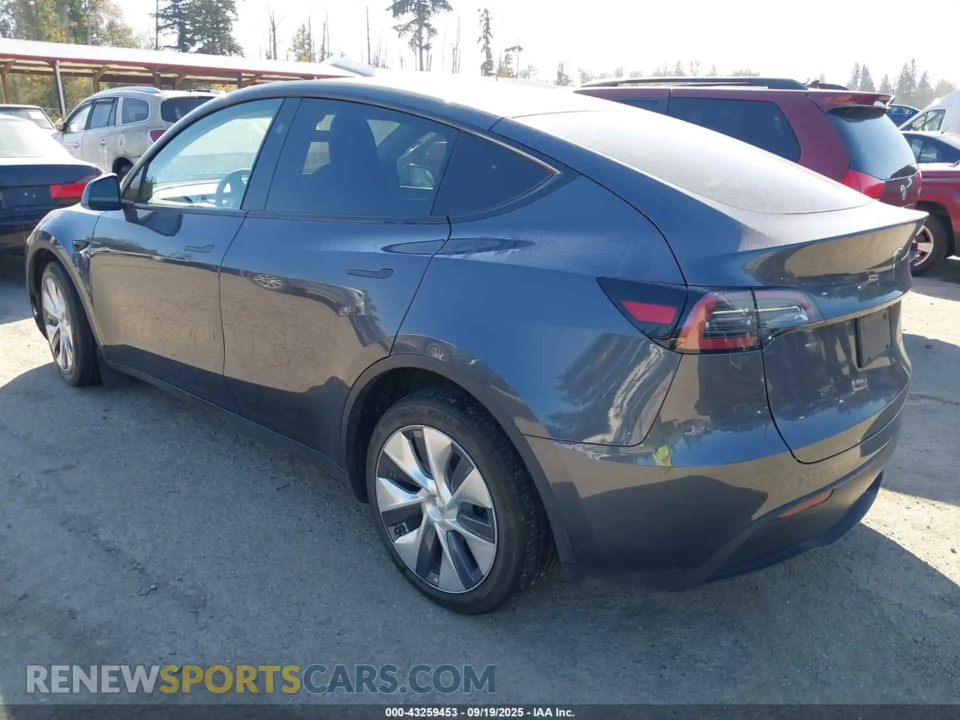 3 fotografías del automóvil dañado 7SAYGDEE9PF922212 TESLA MODEL Y 2023