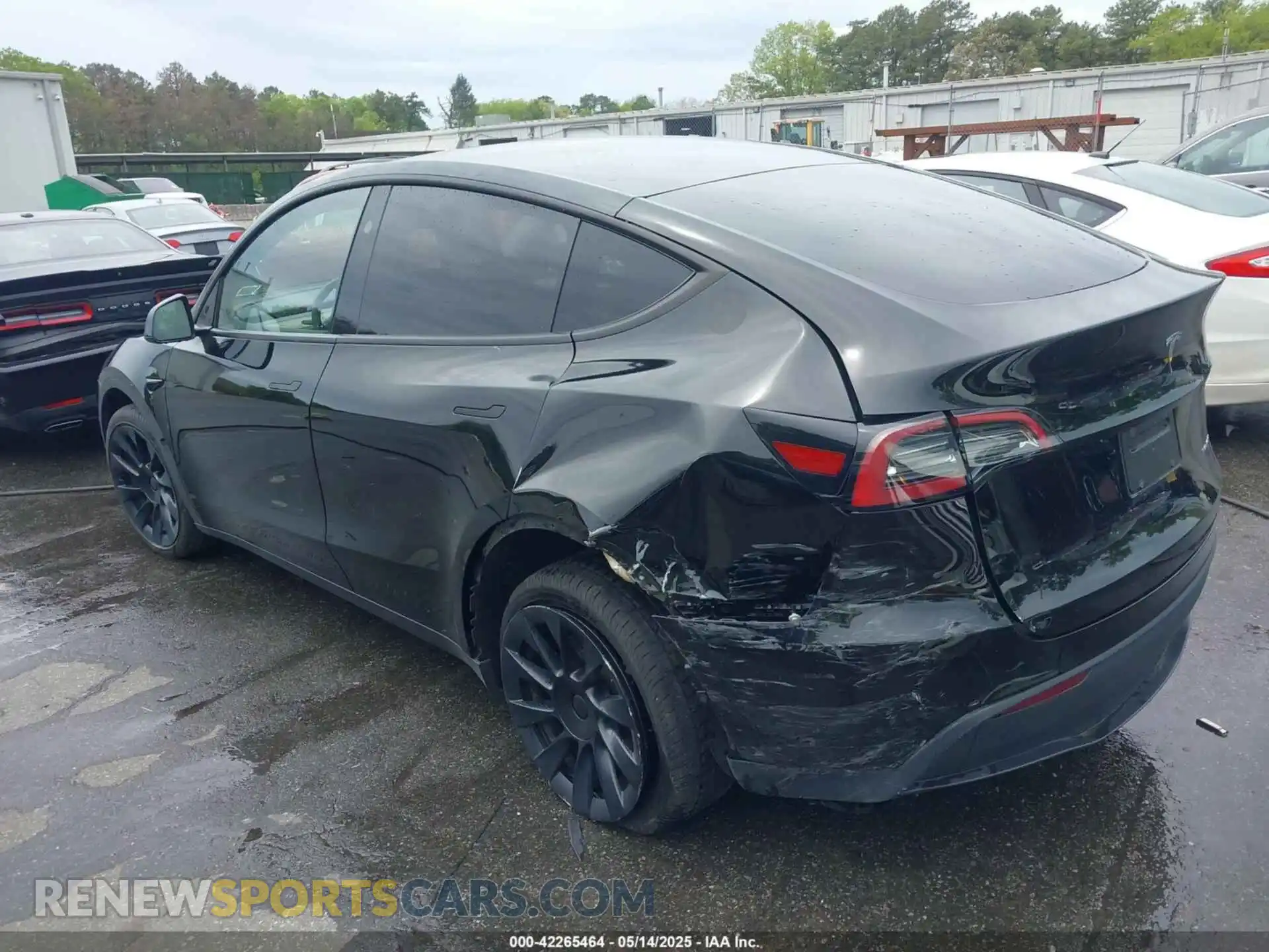 3 Photograph of a damaged car 7SAYGDEEXPA183123 TESLA MODEL Y 2023