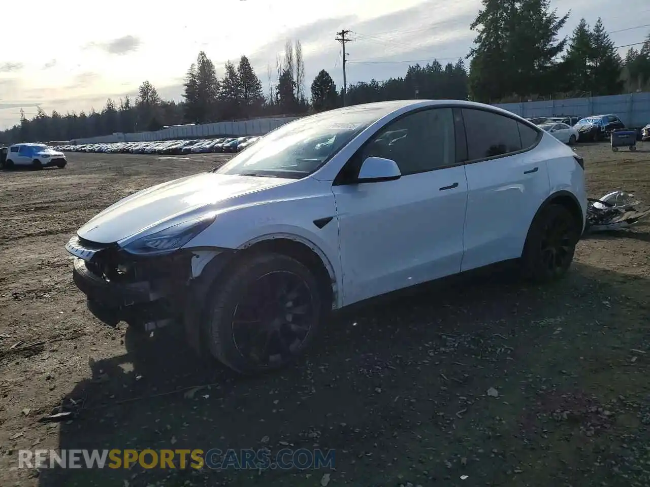 1 Photograph of a damaged car 7SAYGDEEXPF612005 TESLA MODEL Y 2023
