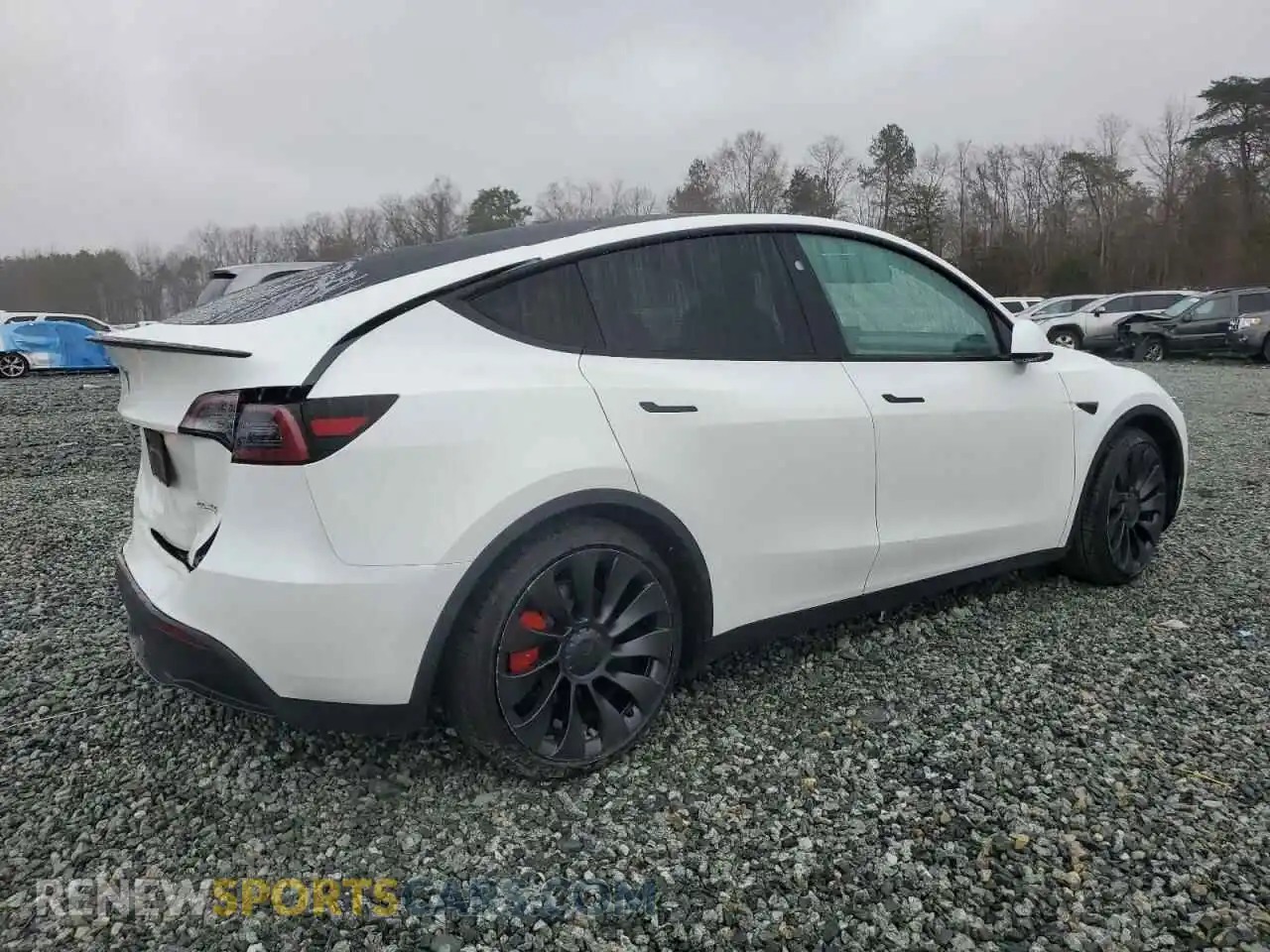 3 Photograph of a damaged car 7SAYGDEF3PF920531 TESLA MODEL Y 2023