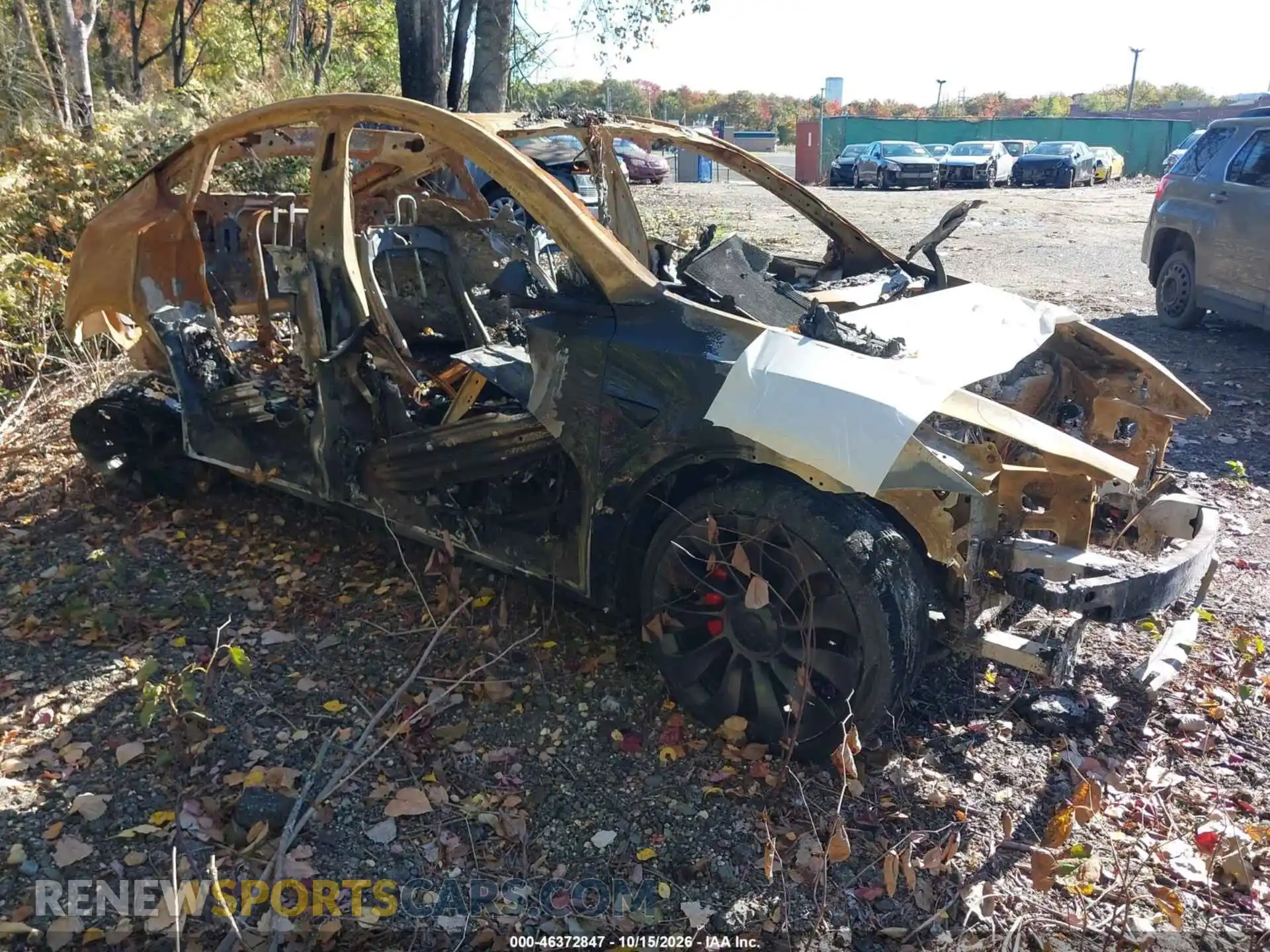 1 Photograph of a damaged car 7SAYGDEF3PF938401 TESLA MODEL Y 2023