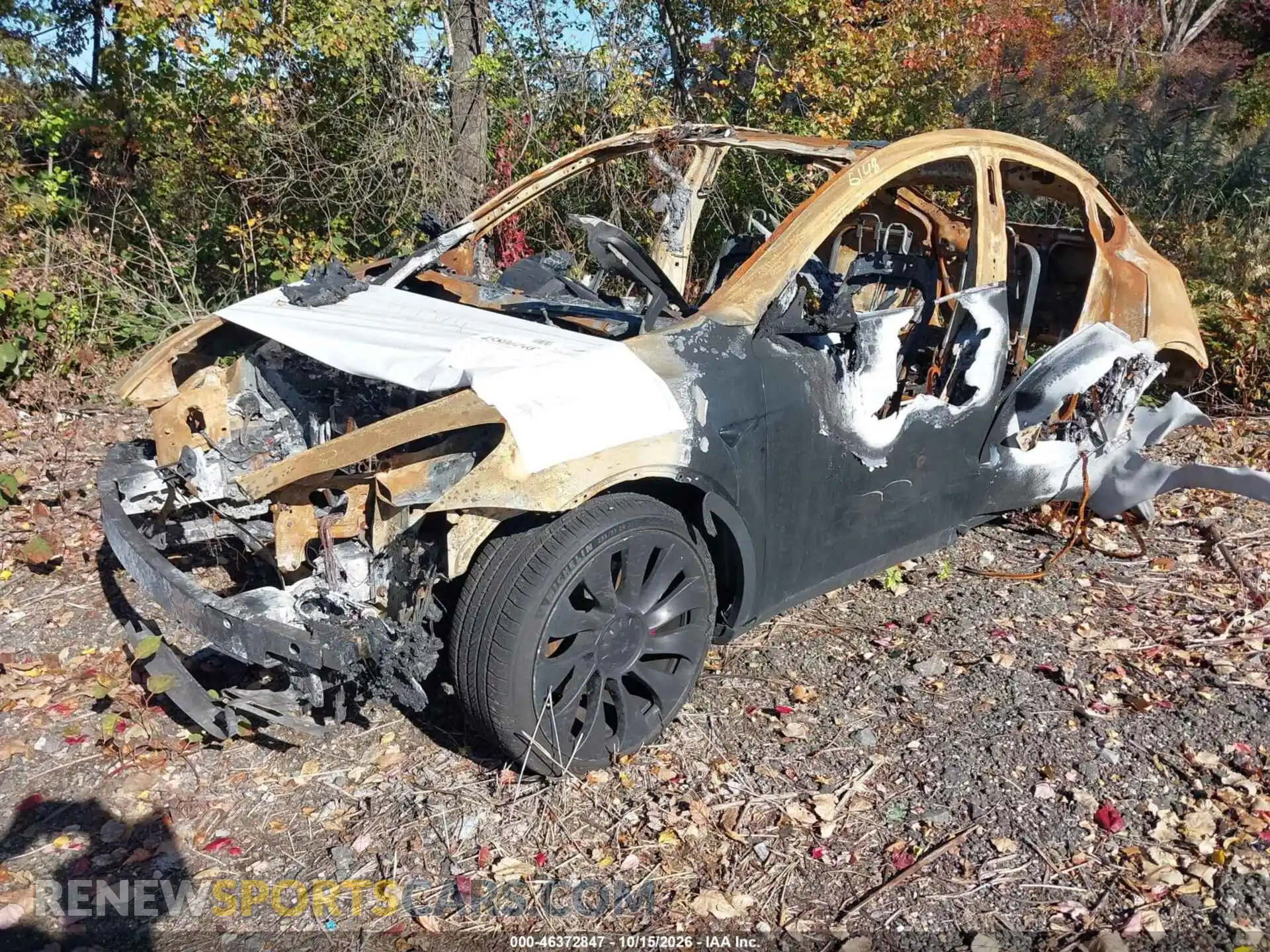 2 Photograph of a damaged car 7SAYGDEF3PF938401 TESLA MODEL Y 2023
