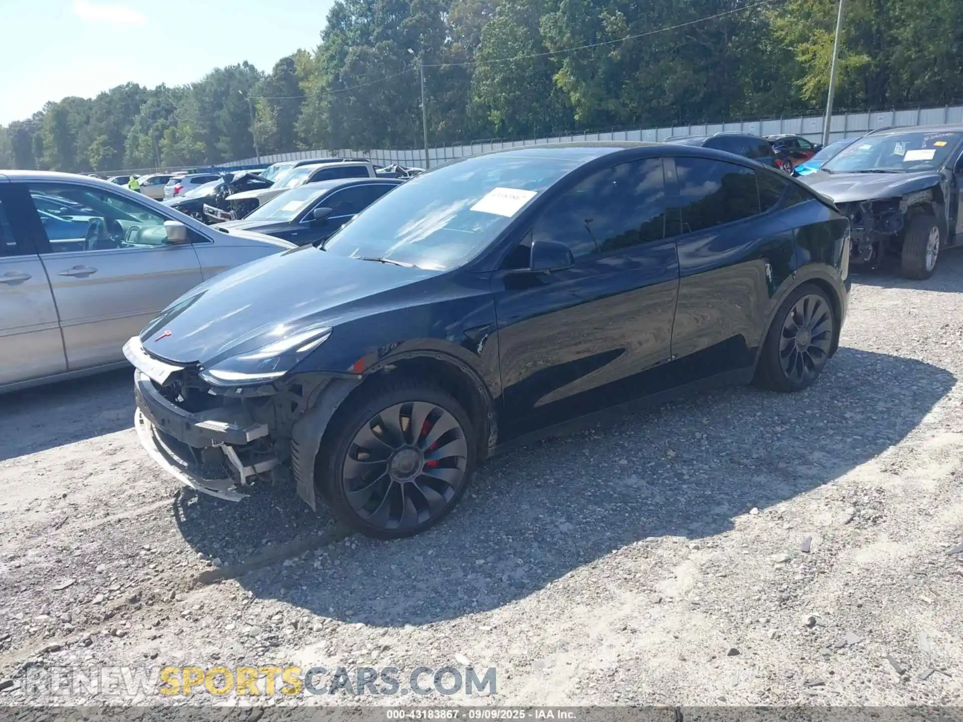 2 Фотография поврежденного автомобиля 7SAYGDEF5PF659726 TESLA MODEL Y 2023