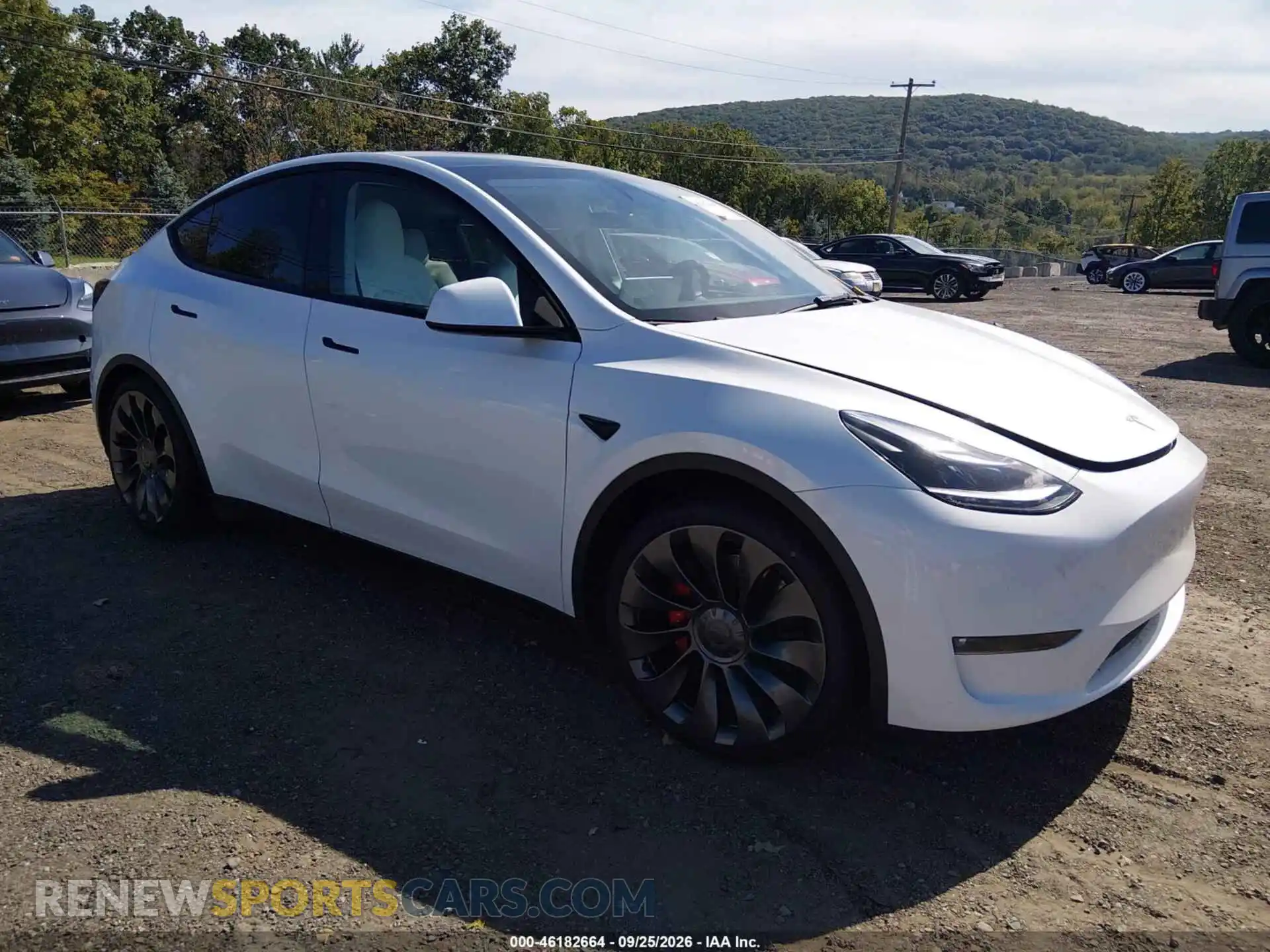 1 Photograph of a damaged car 7SAYGDEF8PF841100 TESLA MODEL Y 2023