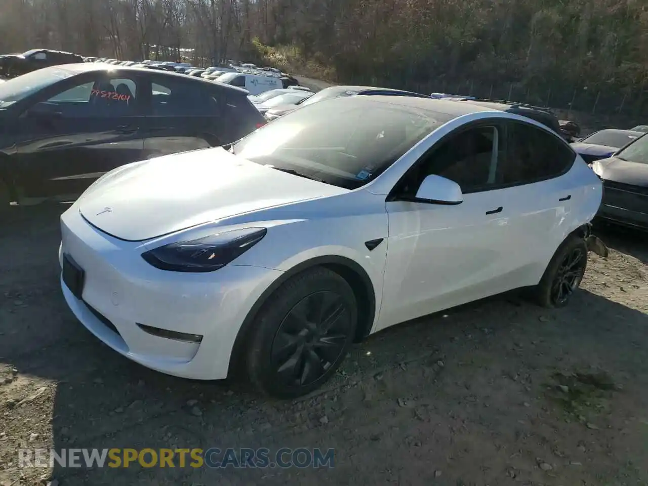 1 Photograph of a damaged car 7SAYGAEE3RF194789 TESLA MODEL Y 2024