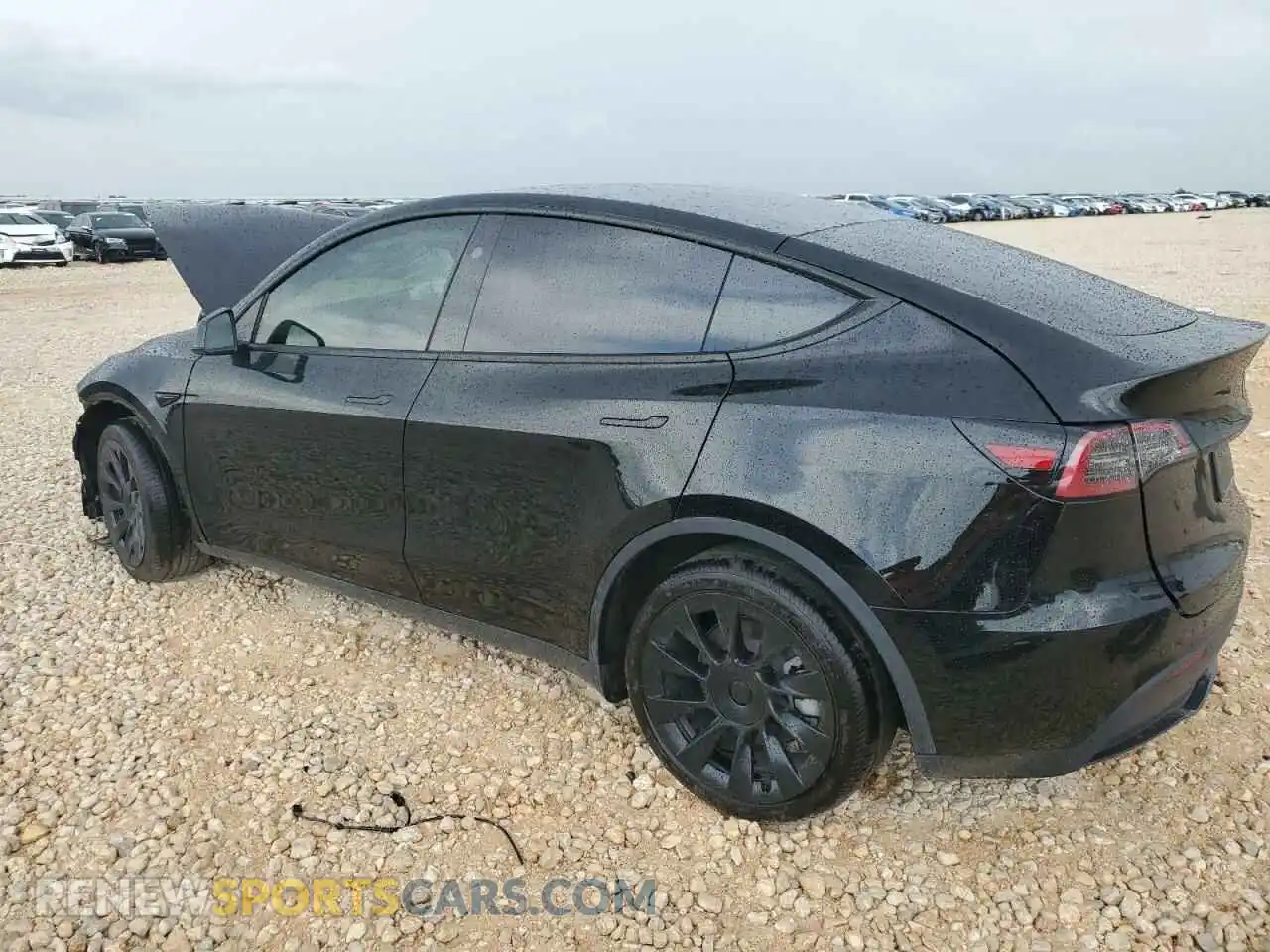 2 Photograph of a damaged car 7SAYGAEE4RF064035 TESLA MODEL Y 2024