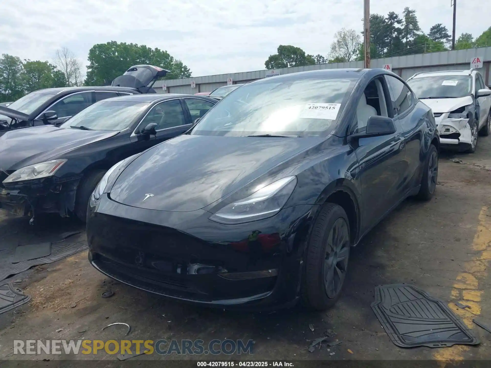 2 Photograph of a damaged car 7SAYGAEE5RF186418 TESLA MODEL Y 2024