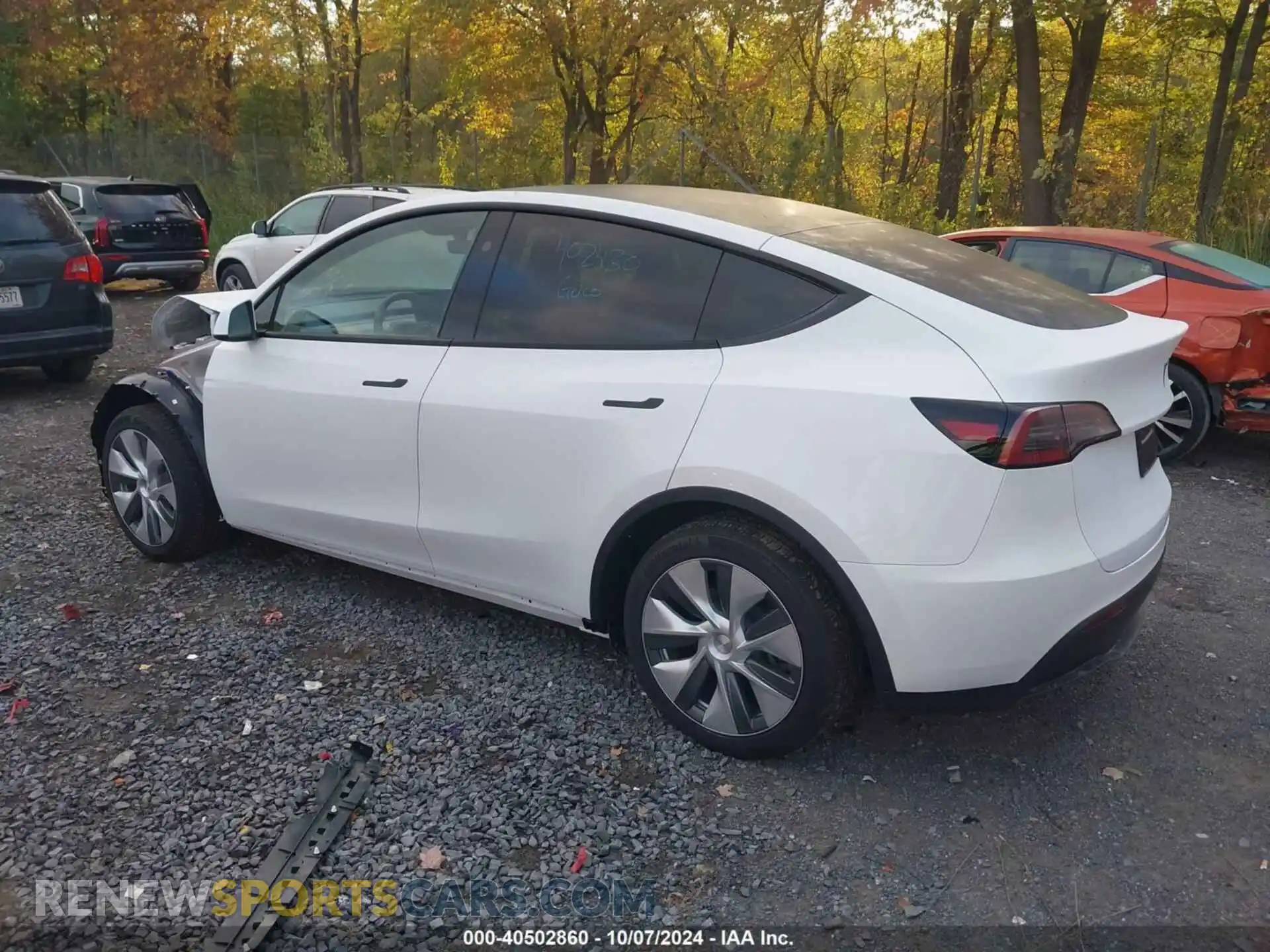 3 fotografías del automóvil dañado 7SAYGAEE8RF092274 TESLA MODEL Y 2024