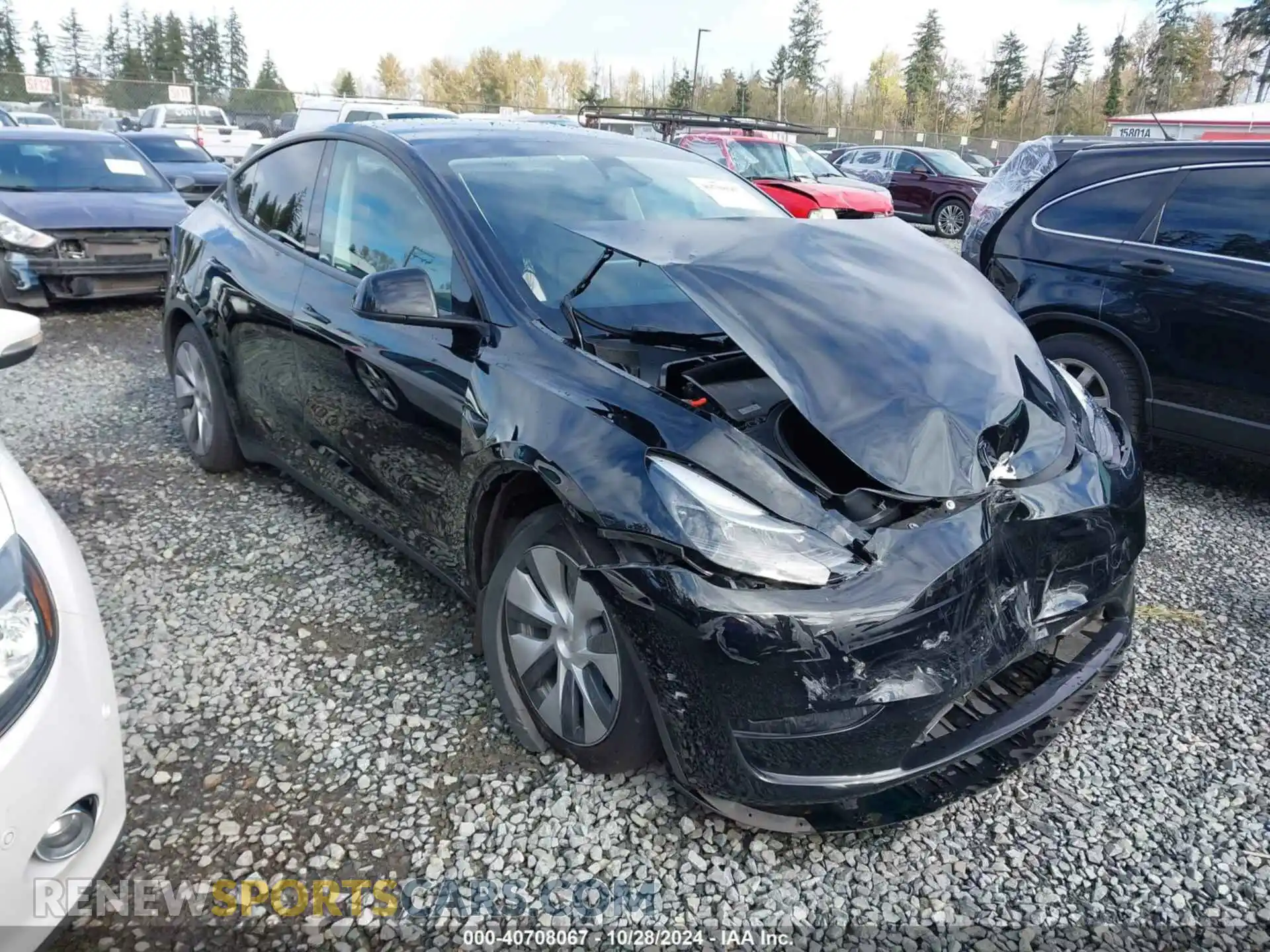 1 Photograph of a damaged car 7SAYGAEE8RF981351 TESLA MODEL Y 2024