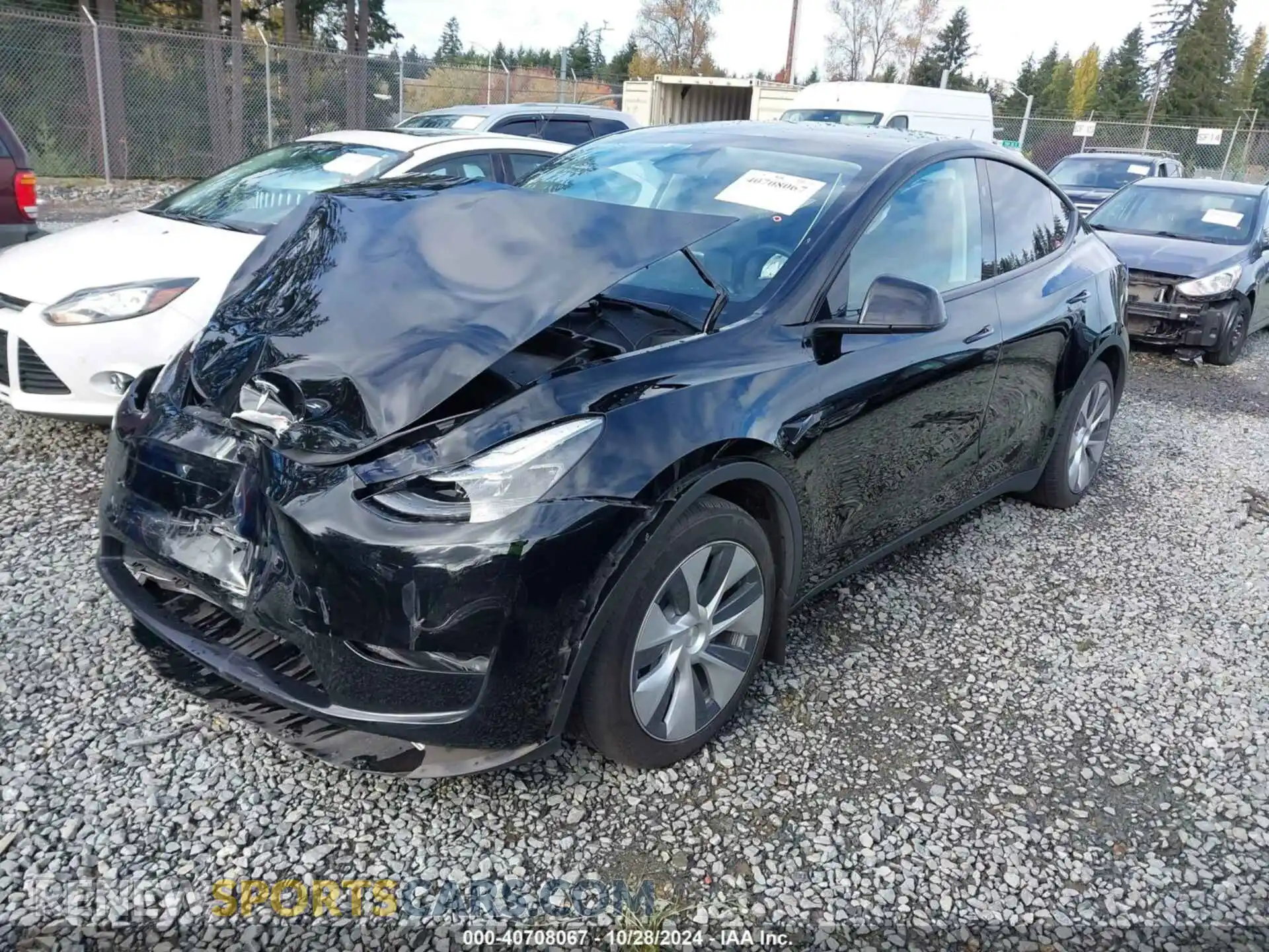 2 Photograph of a damaged car 7SAYGAEE8RF981351 TESLA MODEL Y 2024